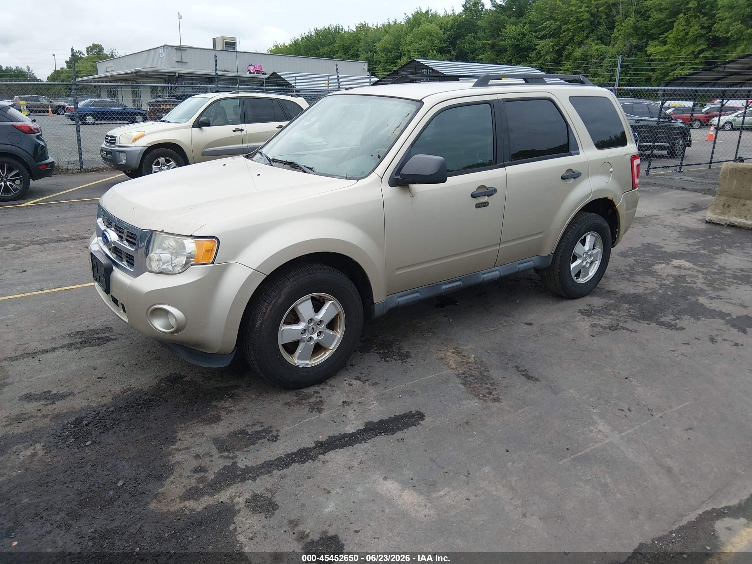 2011 Ford Escape Xlt Gold vin: 1FMCU9D72BKC11572