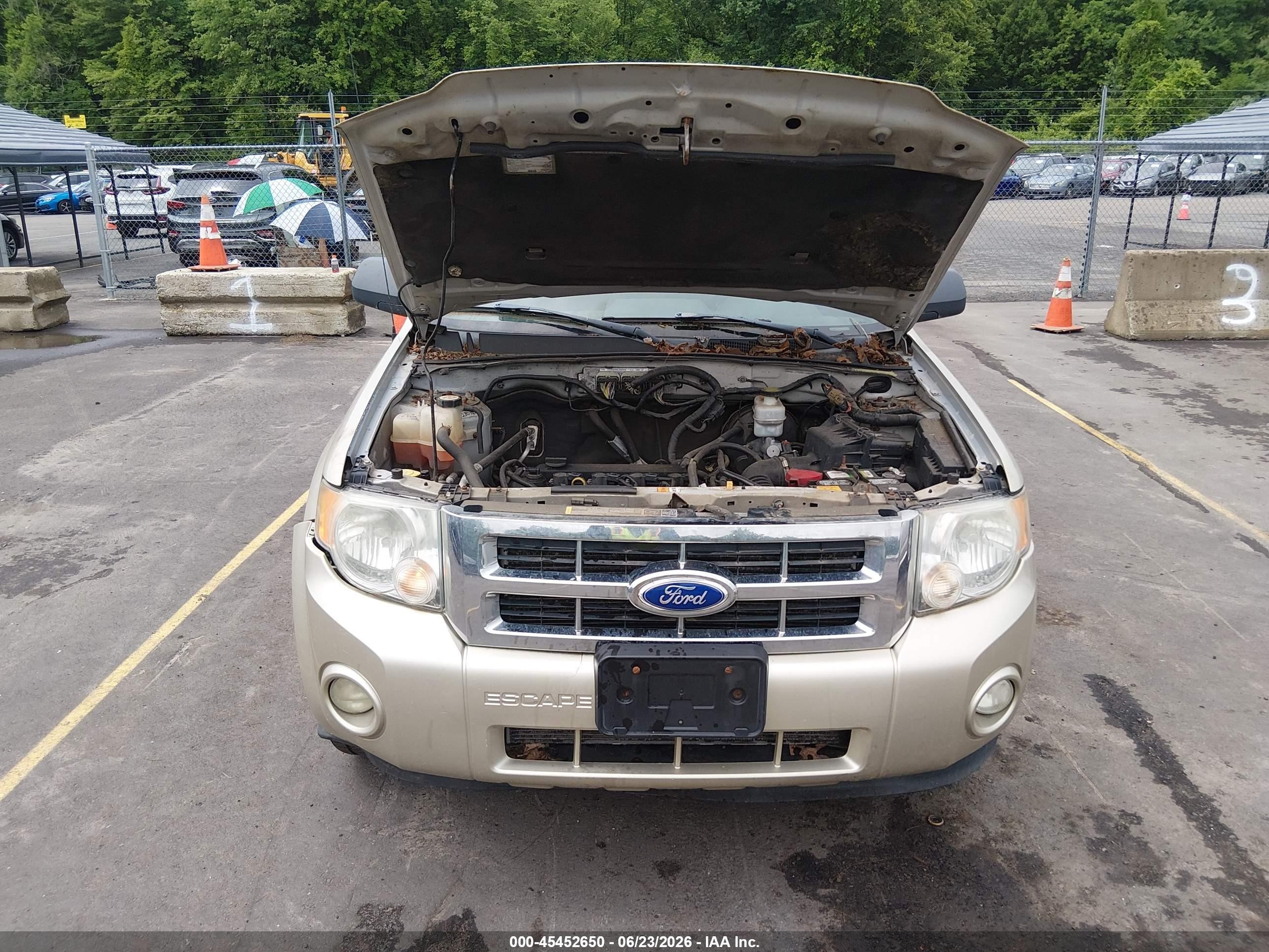 2011 Ford Escape Xlt Gold vin: 1FMCU9D72BKC11572