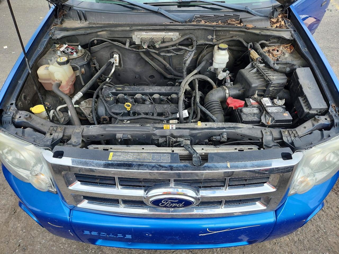 2012 Ford Escape Xlt Blue vin: 1FMCU9D72CKC48526