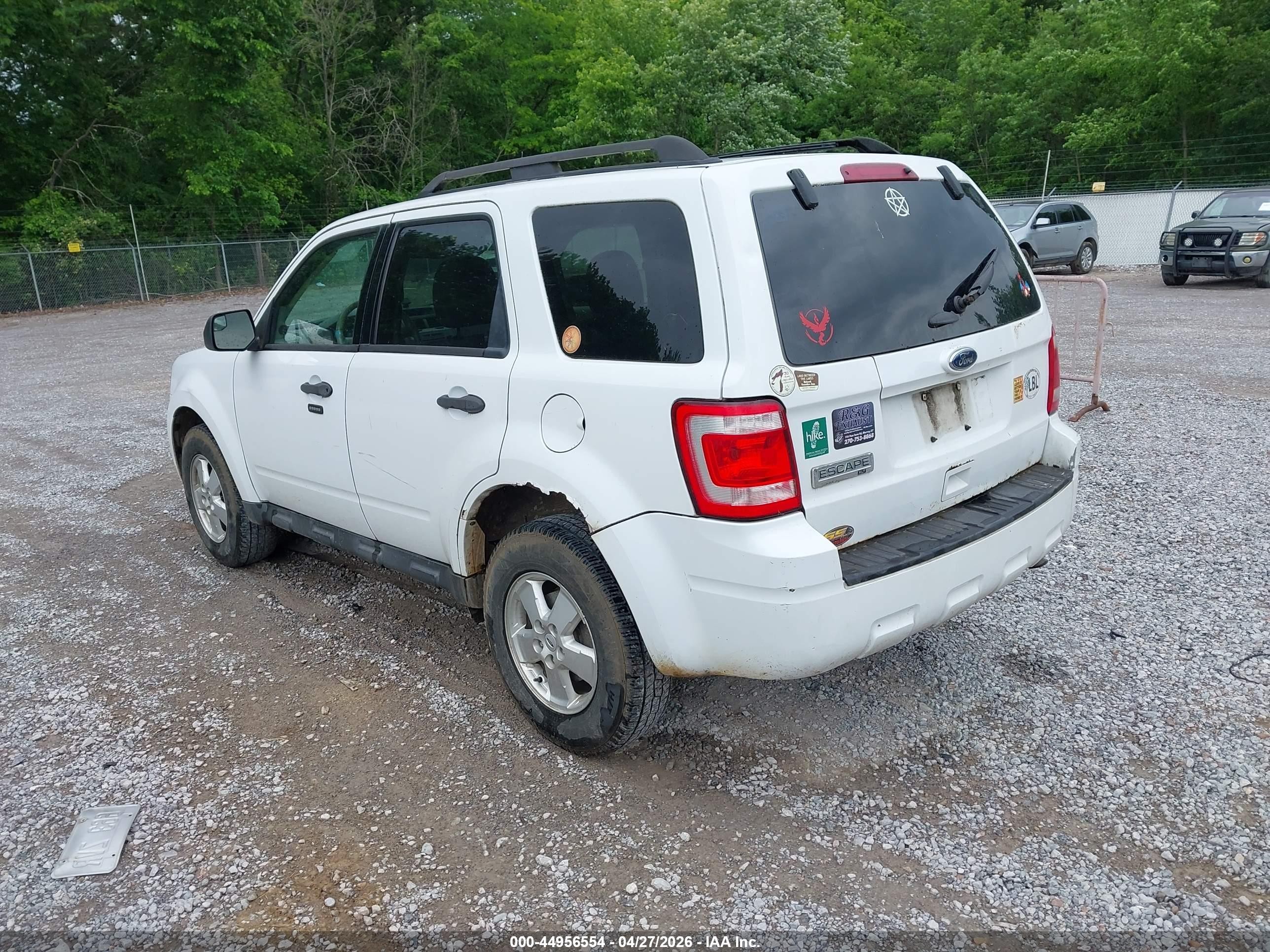 2011 Ford Escape Xlt White vin: 1FMCU9D73BKB26241