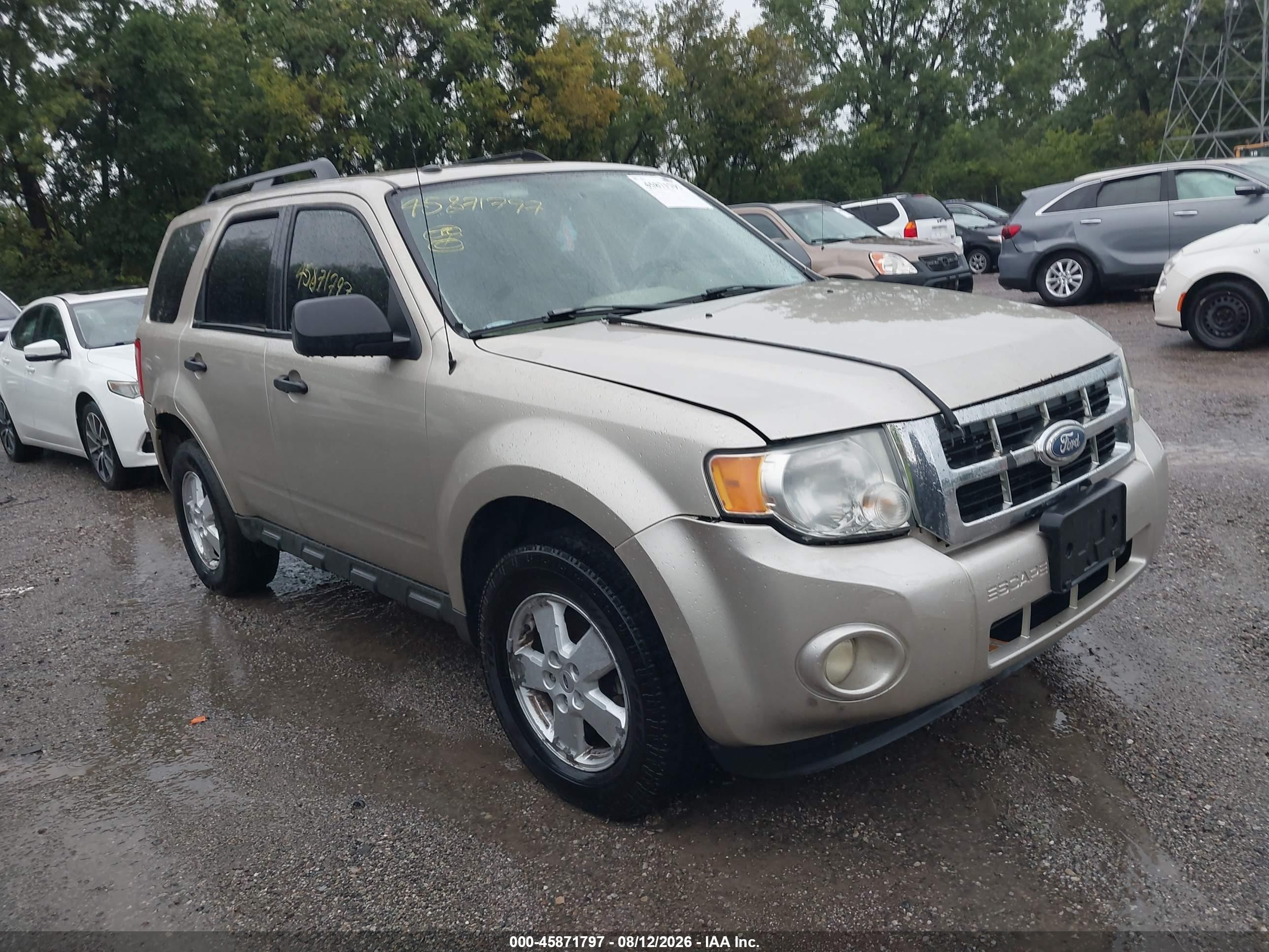 2010 Ford Escape Xlt Золотой vin: 1FMCU9D74AKB94708