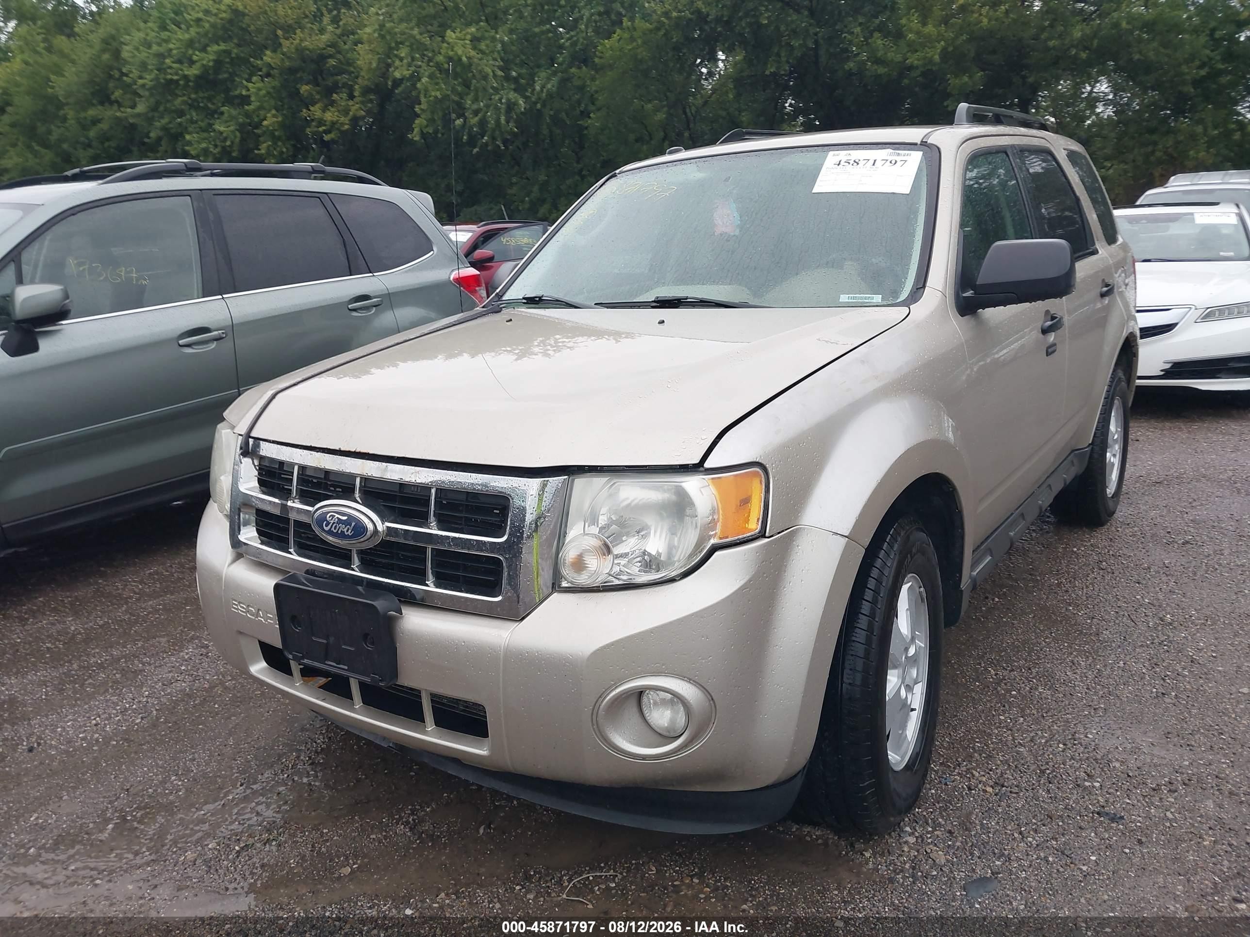 2010 Ford Escape Xlt Gold vin: 1FMCU9D74AKB94708