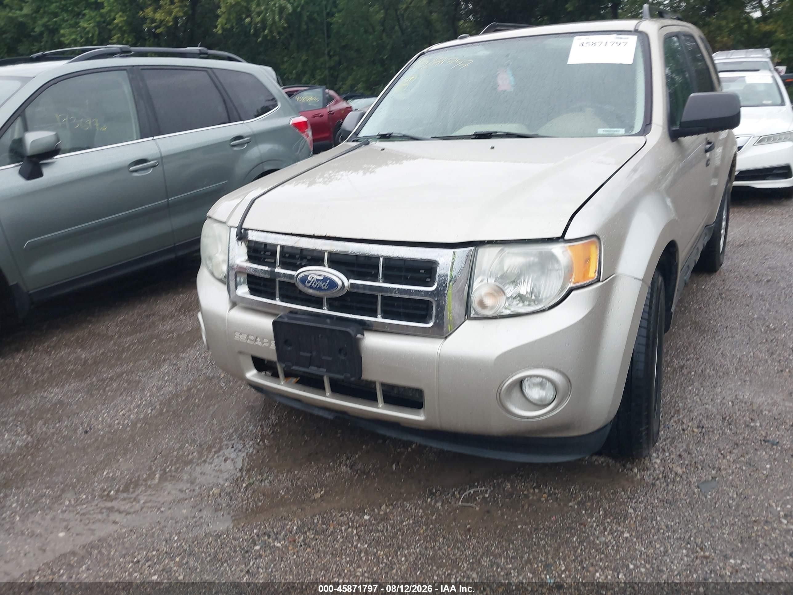 2010 Ford Escape Xlt Gold vin: 1FMCU9D74AKB94708