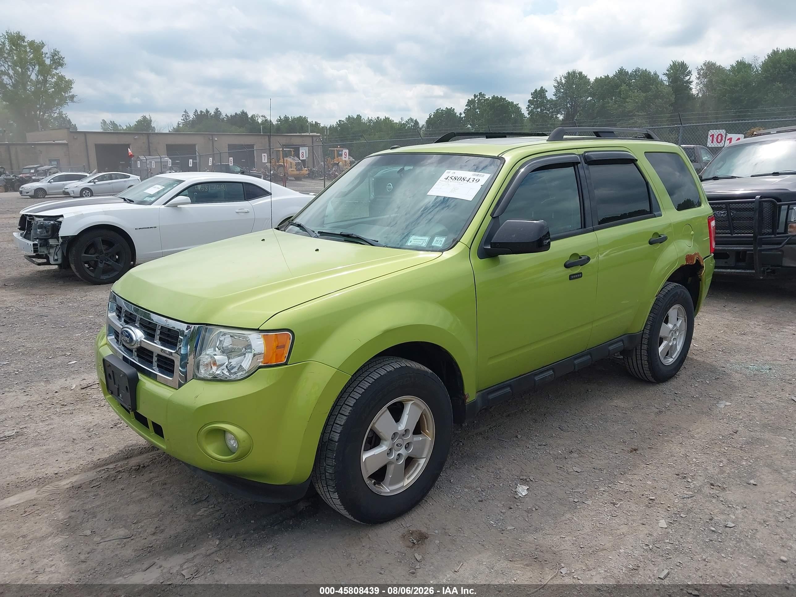 2012 Ford Escape Xlt Green vin: 1FMCU9D74CKA33889