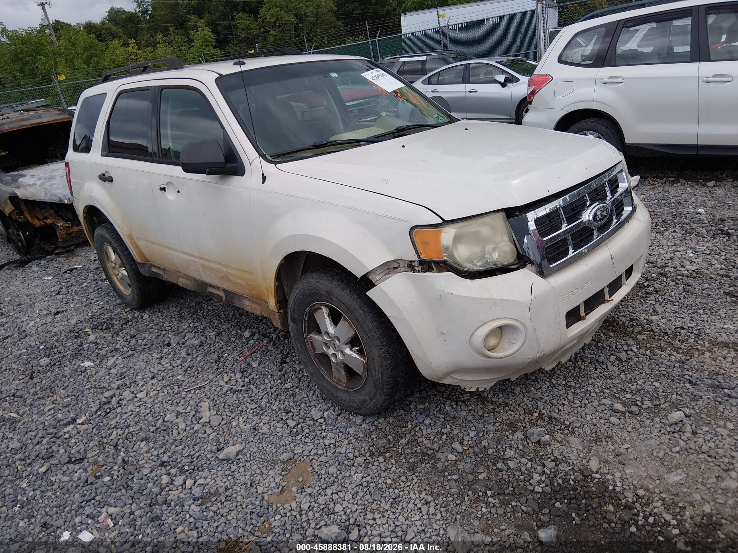 2010 Ford Escape Xlt White vin: 1FMCU9D75AKC51739