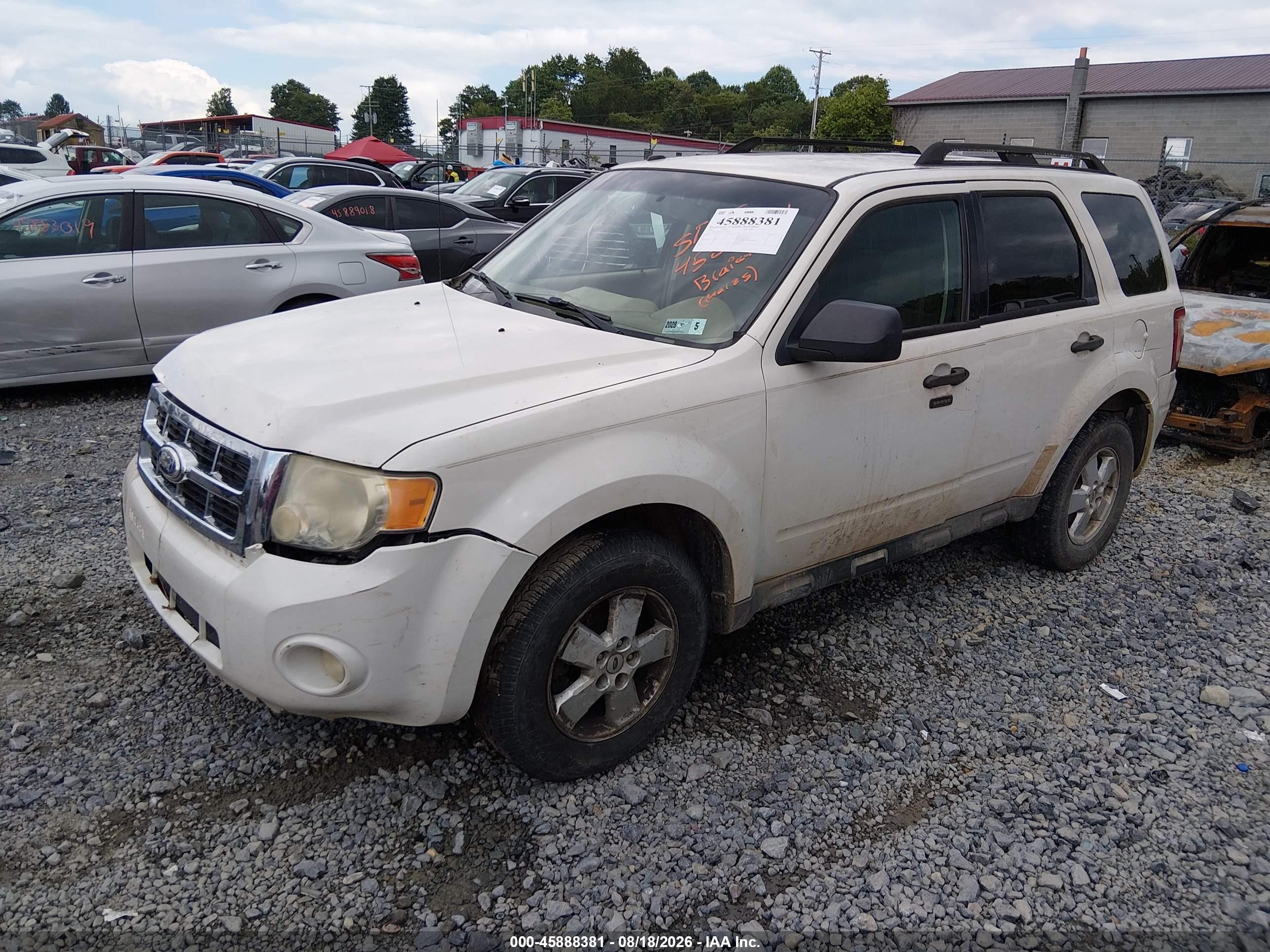 2010 Ford Escape Xlt White vin: 1FMCU9D75AKC51739