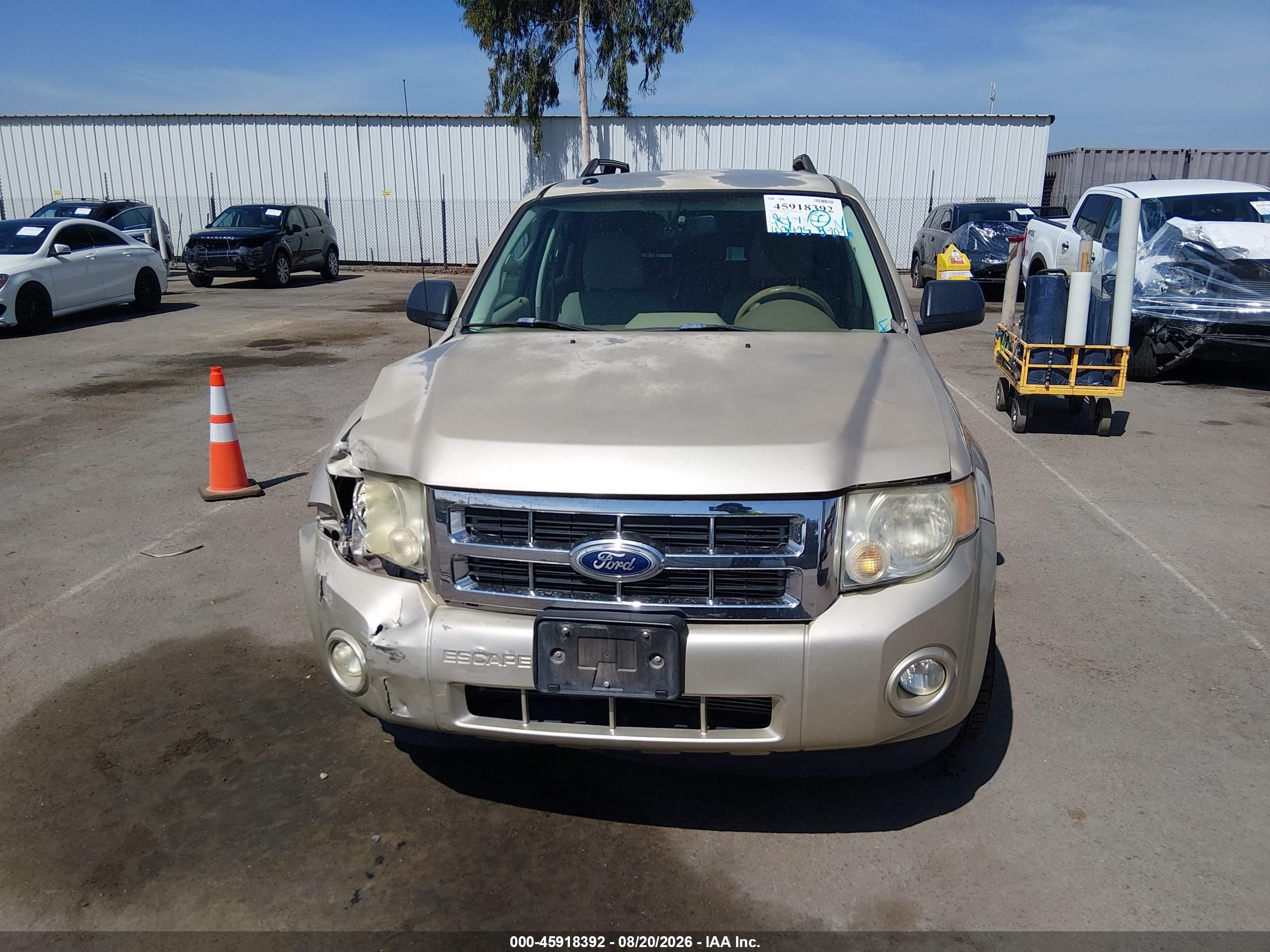 2010 Ford Escape Xlt Champagne vin: 1FMCU9D75AKC77323