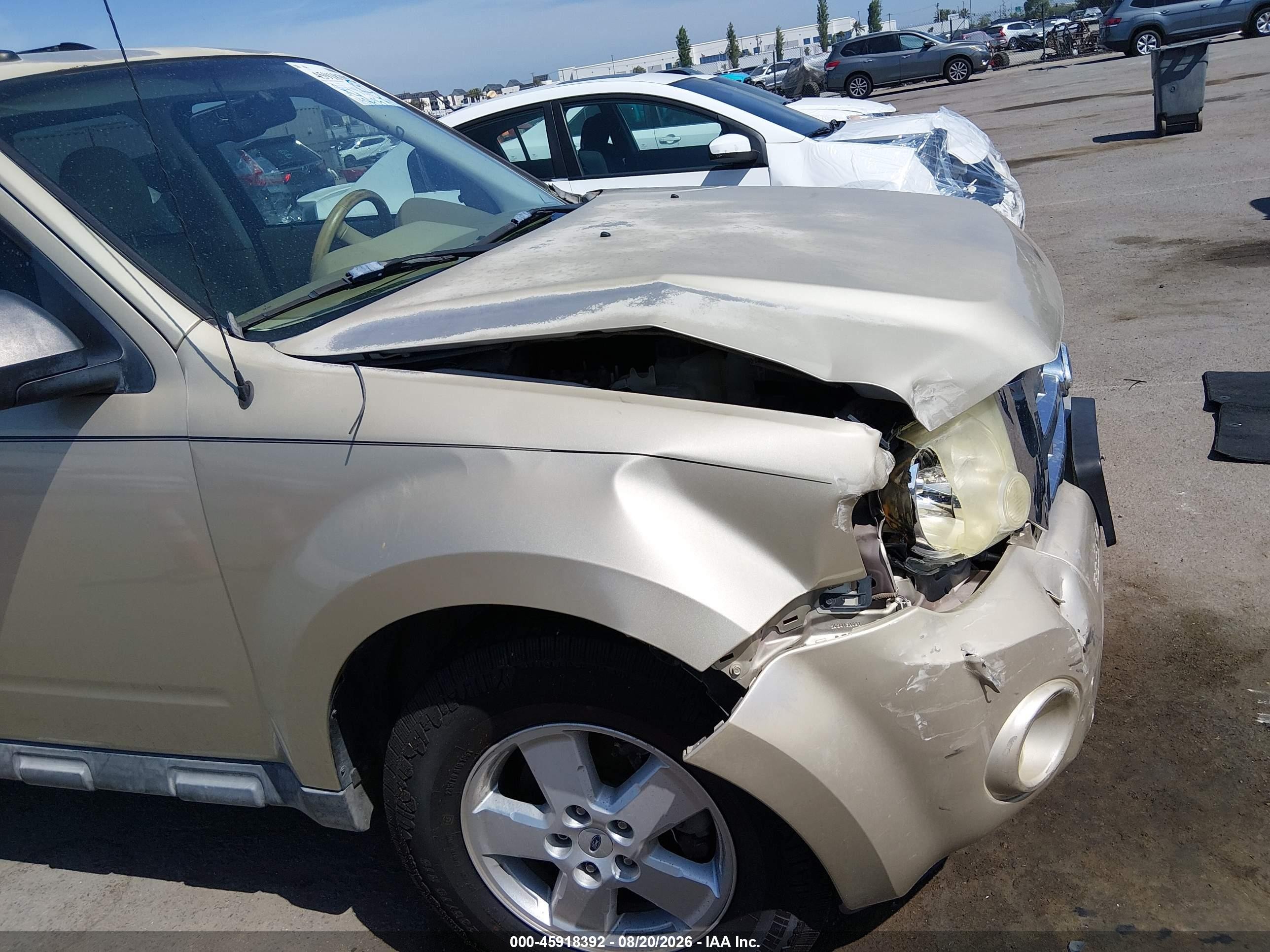 2010 Ford Escape Xlt Champagne vin: 1FMCU9D75AKC77323
