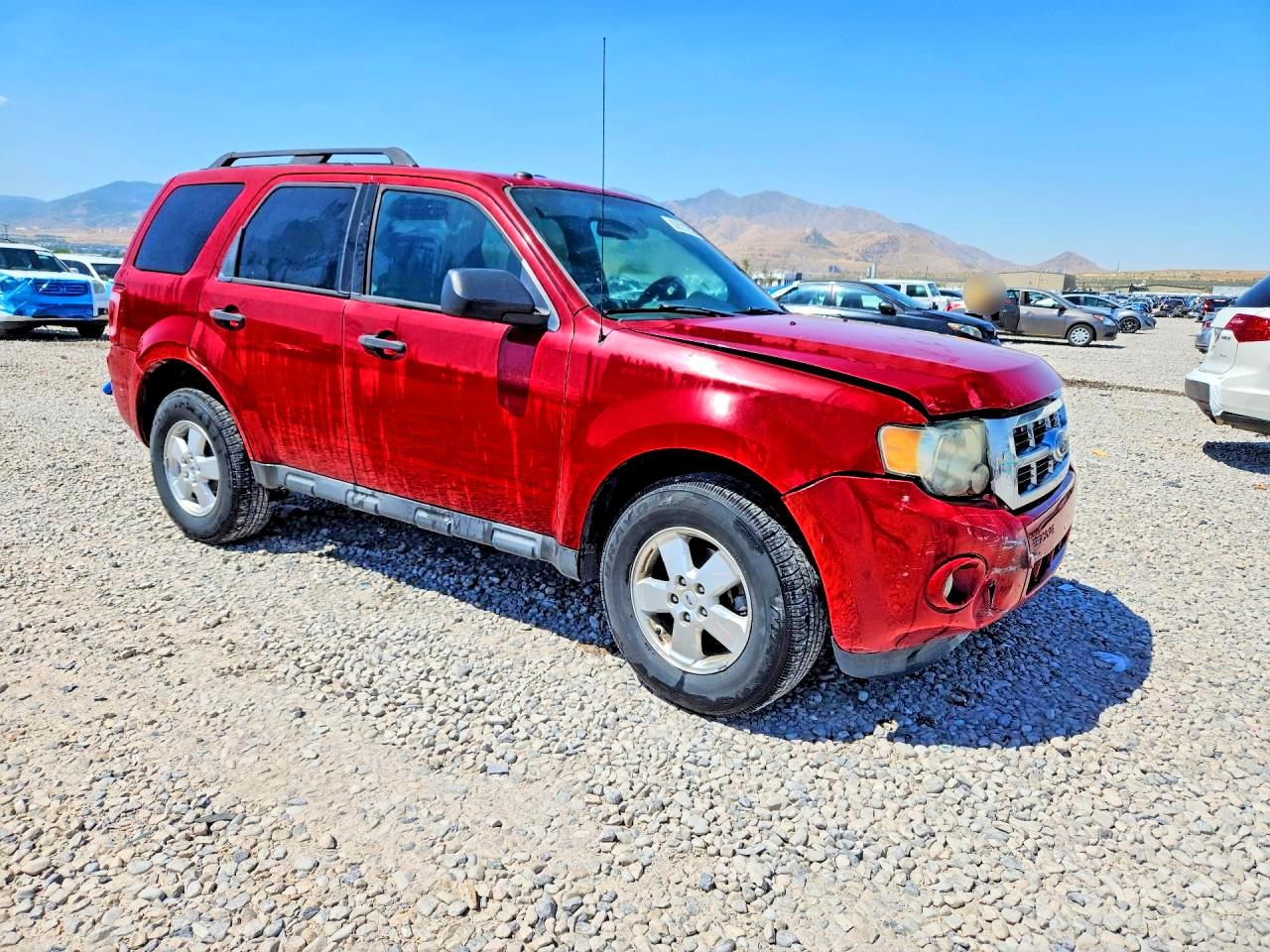2011 Ford Escape Xlt Красный vin: 1FMCU9D75BKB66532