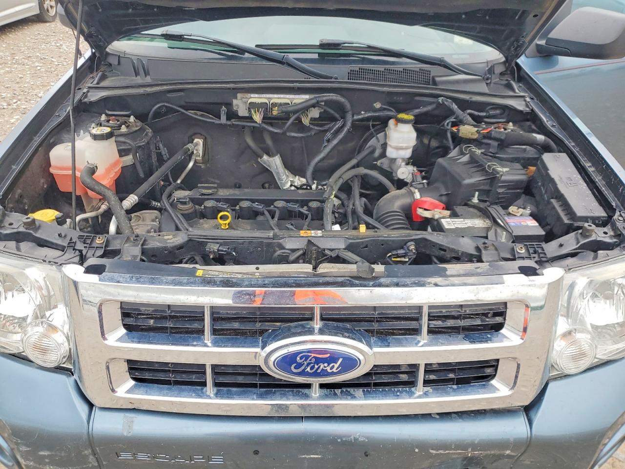 2011 Ford Escape Xlt Синий vin: 1FMCU9D75BKC37423