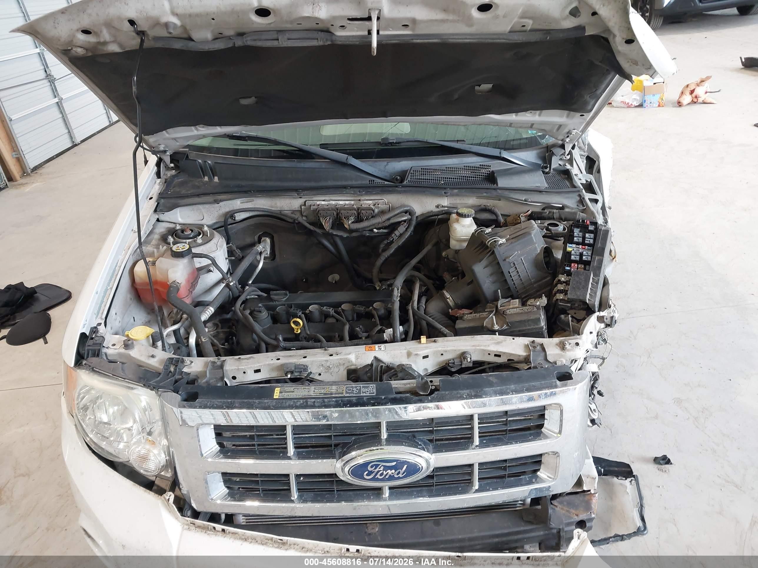 2012 Ford Escape Xlt White vin: 1FMCU9D75CKB28820