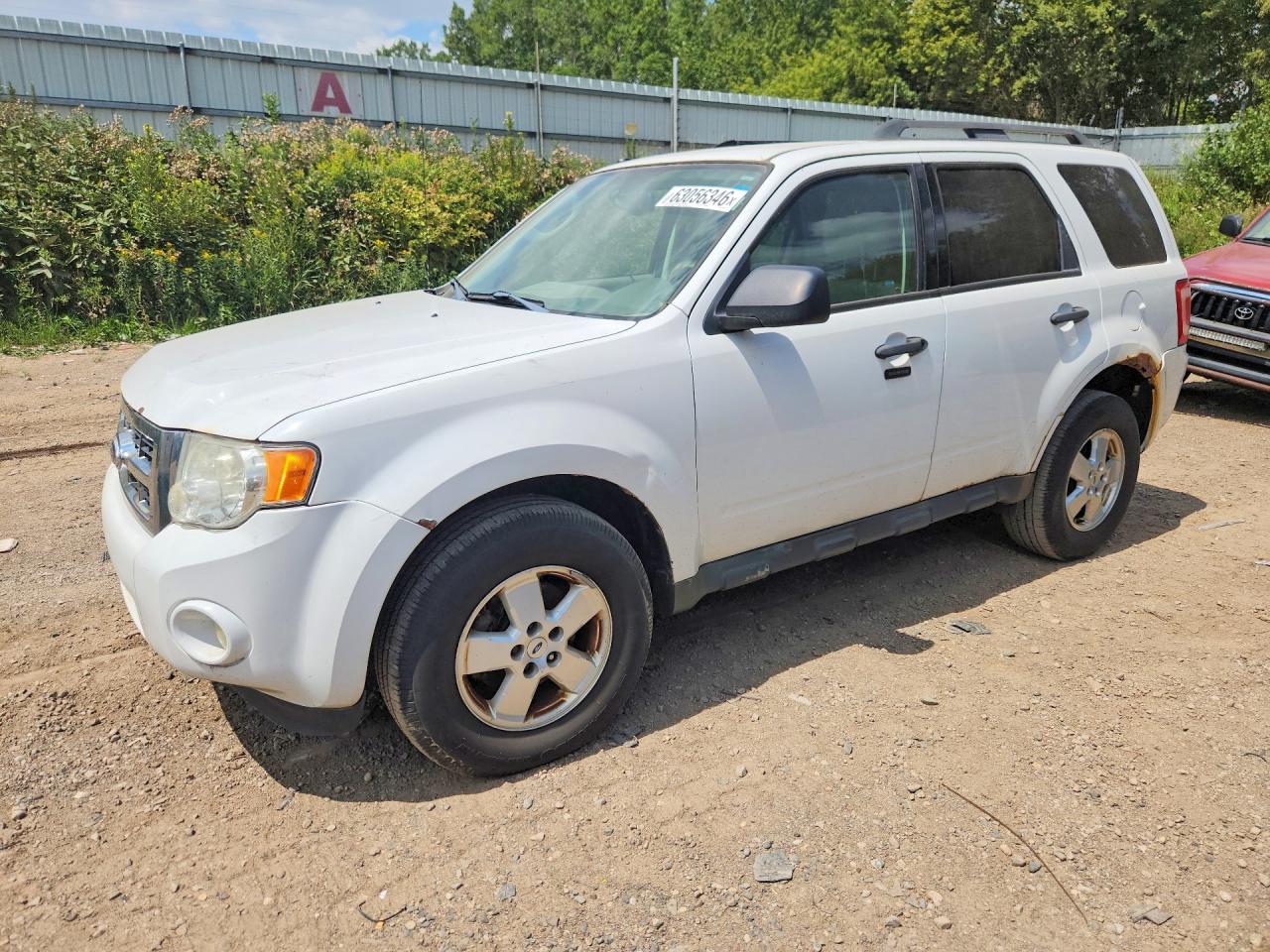 2012 Ford Escape Xlt White vin: 1FMCU9D75CKC10899