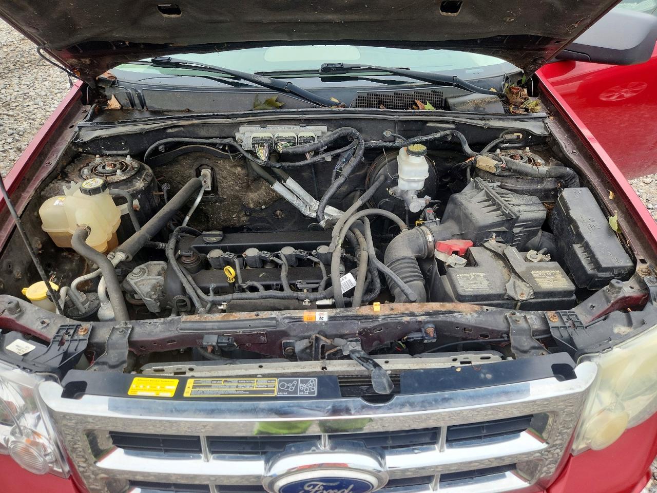 2010 Ford Escape Xlt Красный vin: 1FMCU9D76AKB77358