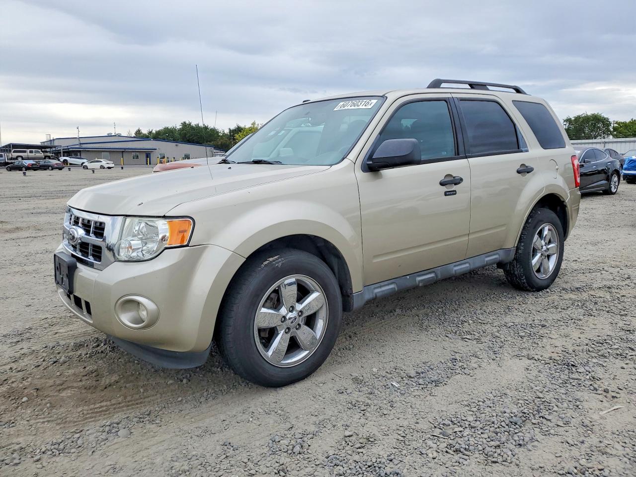 2012 Ford Escape Xlt Желто-коричневый vin: 1FMCU9D76CKC46083