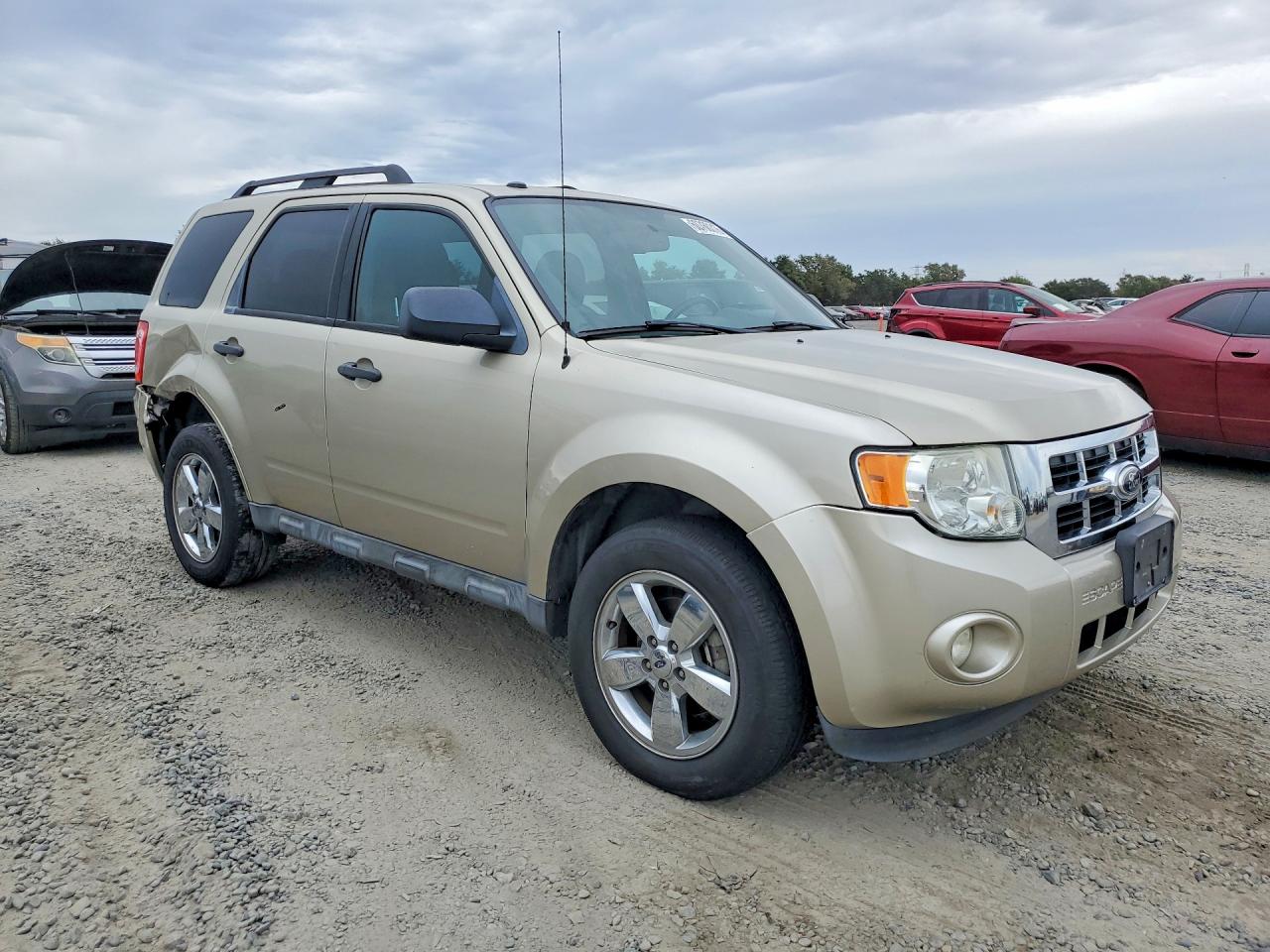 2012 Ford Escape Xlt Желто-коричневый vin: 1FMCU9D76CKC46083