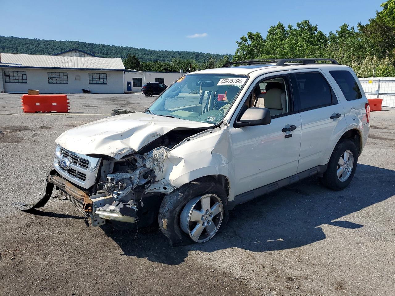 2012 Ford Escape Xlt White vin: 1FMCU9D77CKA56499