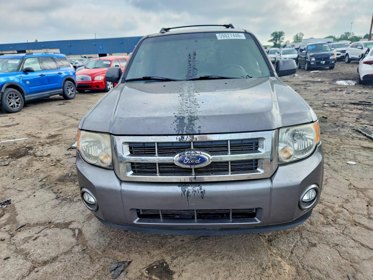 2011 Ford Escape Xlt Gray vin: 1FMCU9D79BKB81969