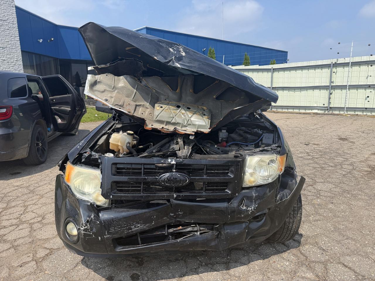 2011 Ford Escape Xlt Black vin: 1FMCU9D79BKC45640
