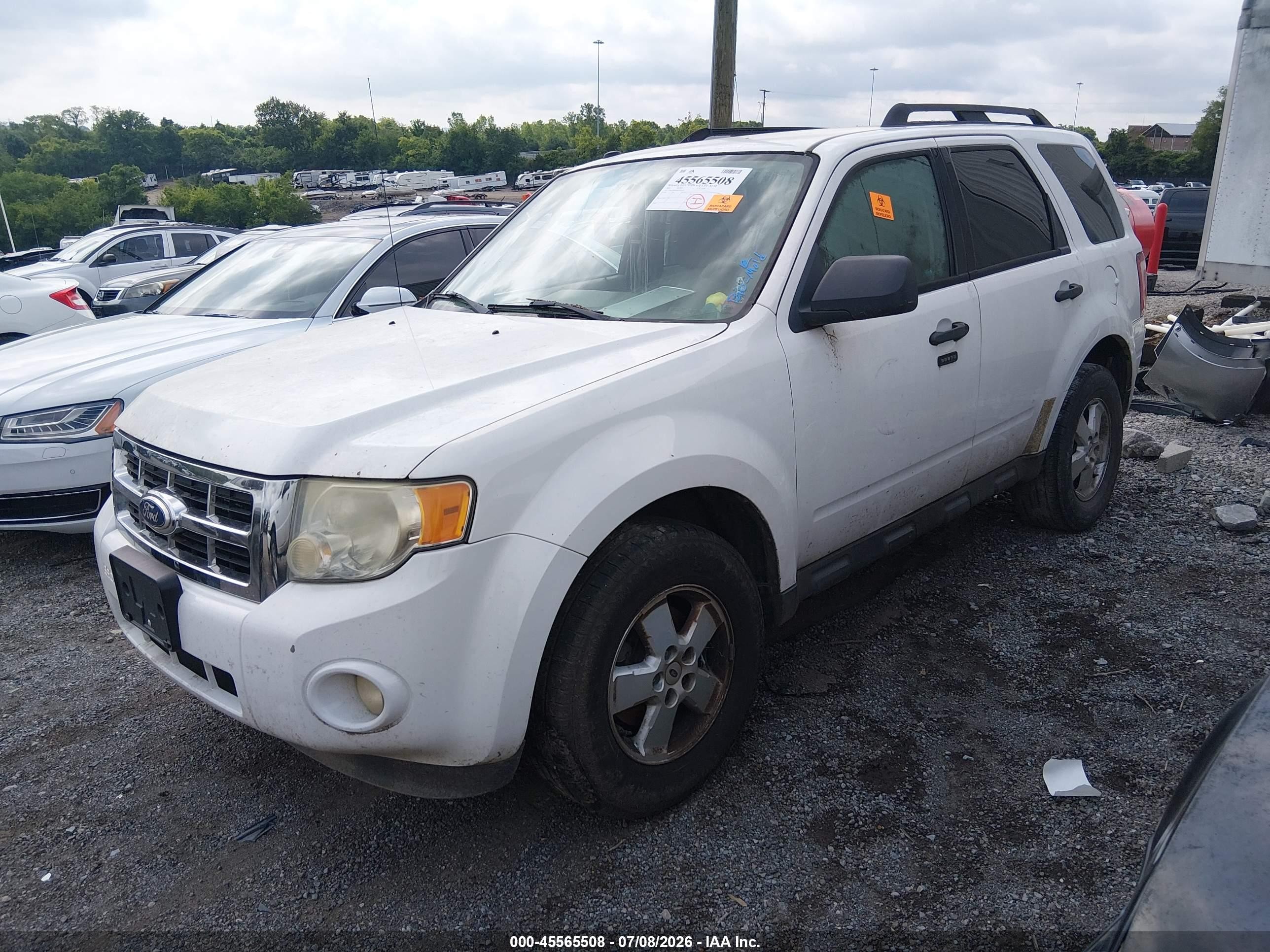 2010 Ford Escape Xlt White vin: 1FMCU9DG0AKC42253