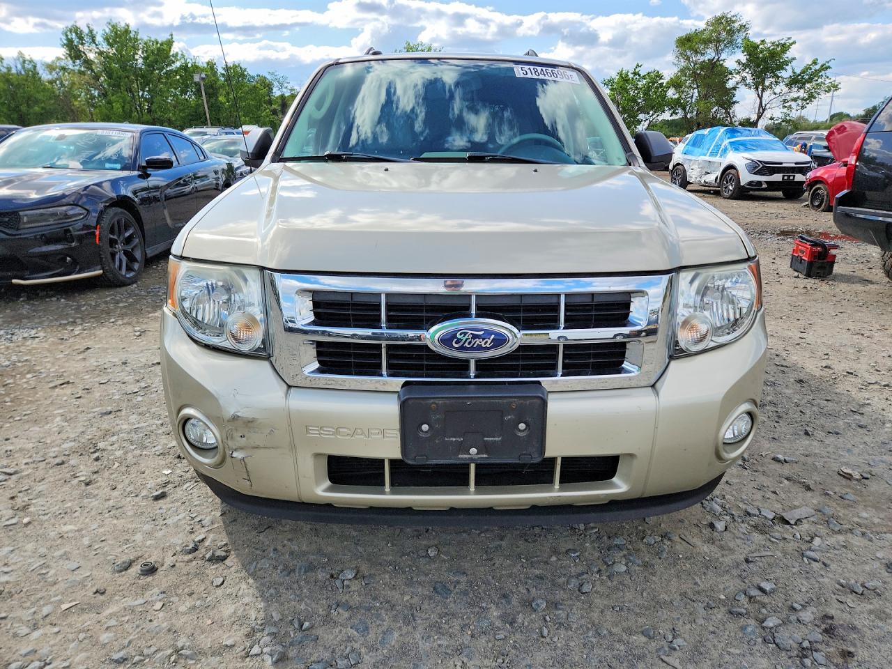 2010 Ford Escape Xlt Beige vin: 1FMCU9DG0AKD24399
