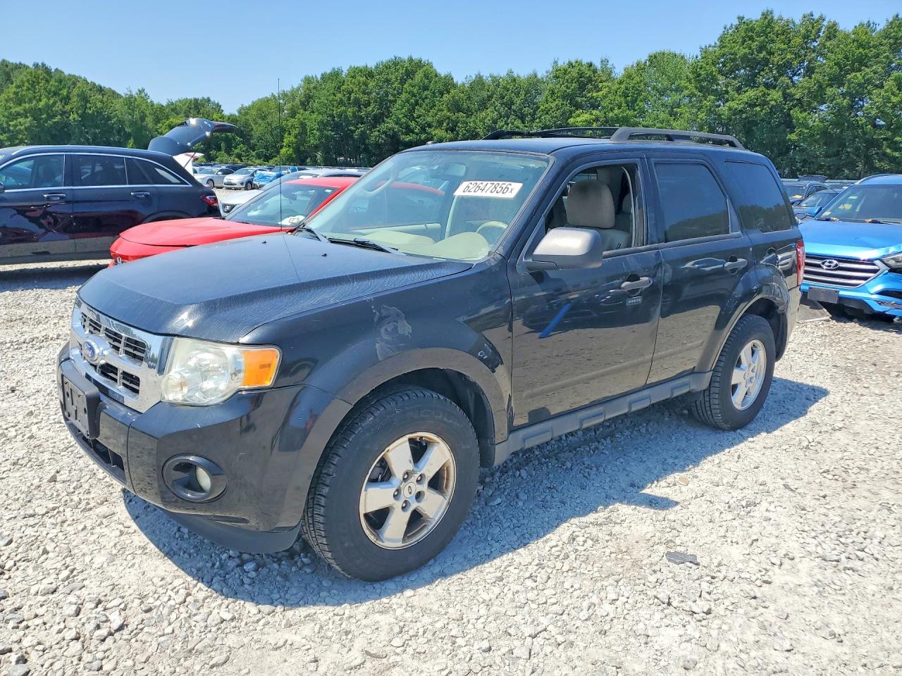 2011 Ford Escape Xlt Black vin: 1FMCU9DG0BKA02928