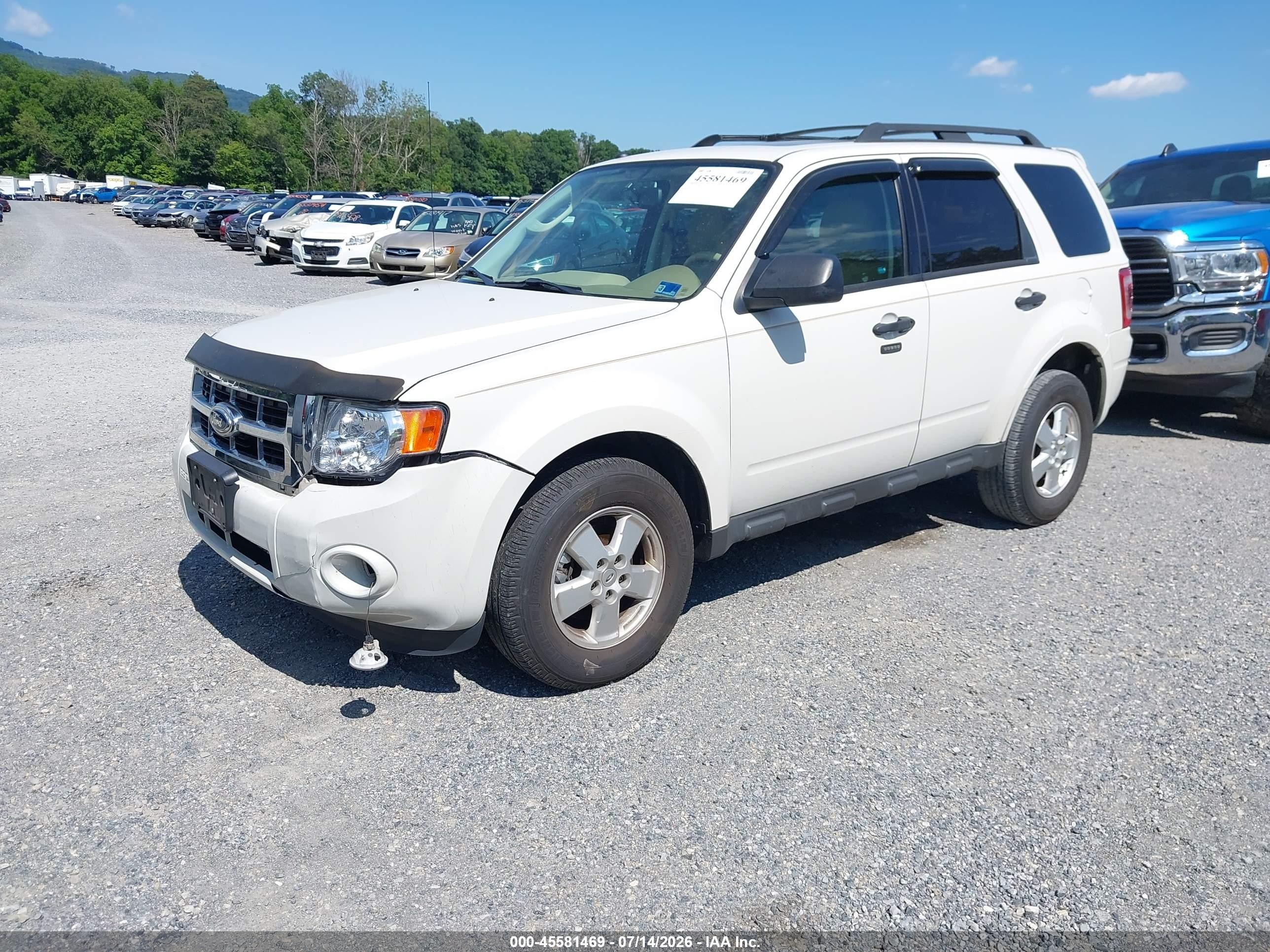 2012 Ford Escape Xlt Белый vin: 1FMCU9DG0CKC52543