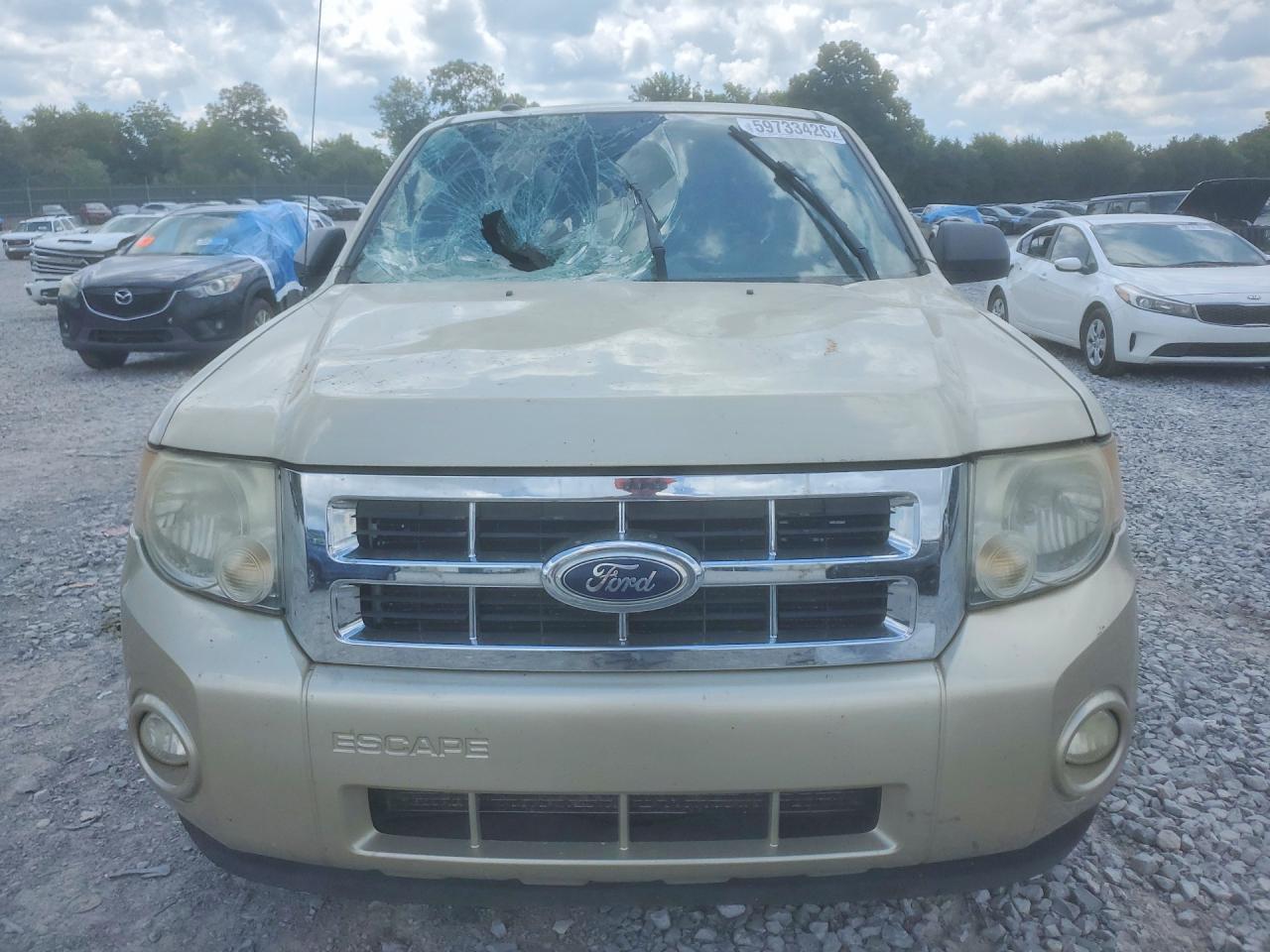 2011 Ford Escape Xlt Cream vin: 1FMCU9DG4BKA72416
