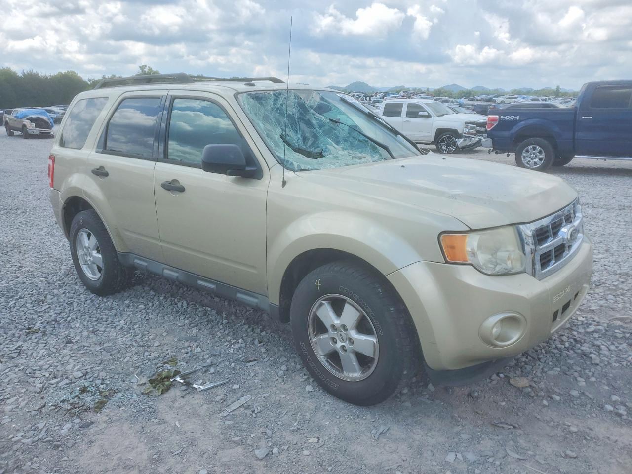 2011 Ford Escape Xlt Cream vin: 1FMCU9DG4BKA72416