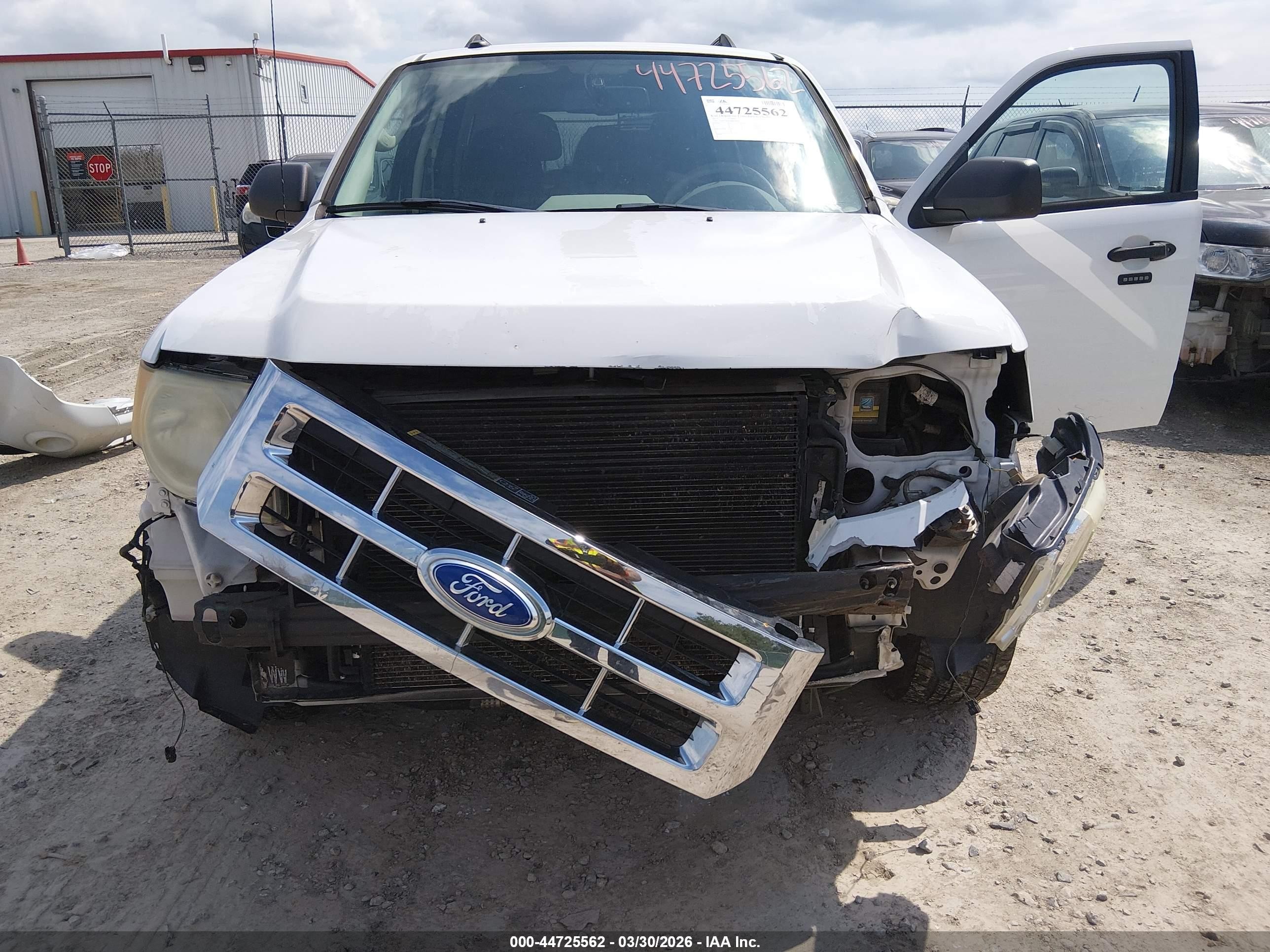 2011 Ford Escape Xlt Белый vin: 1FMCU9DG4BKB99571