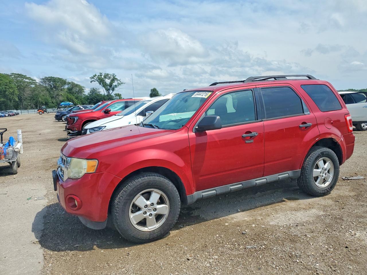 2011 Ford Escape Xlt Red vin: 1FMCU9DG5BKA21751