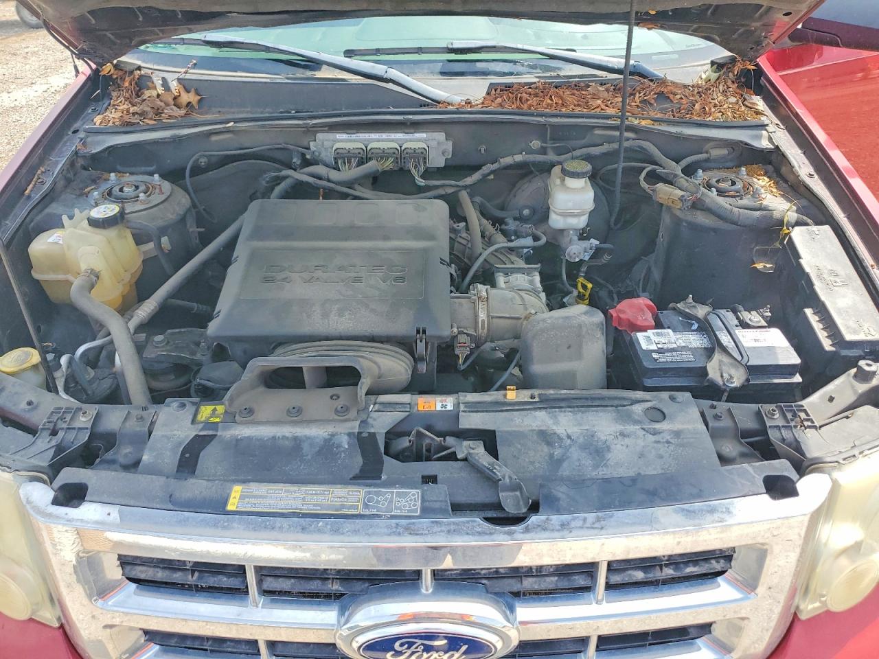2011 Ford Escape Xlt Red vin: 1FMCU9DG5BKA21751