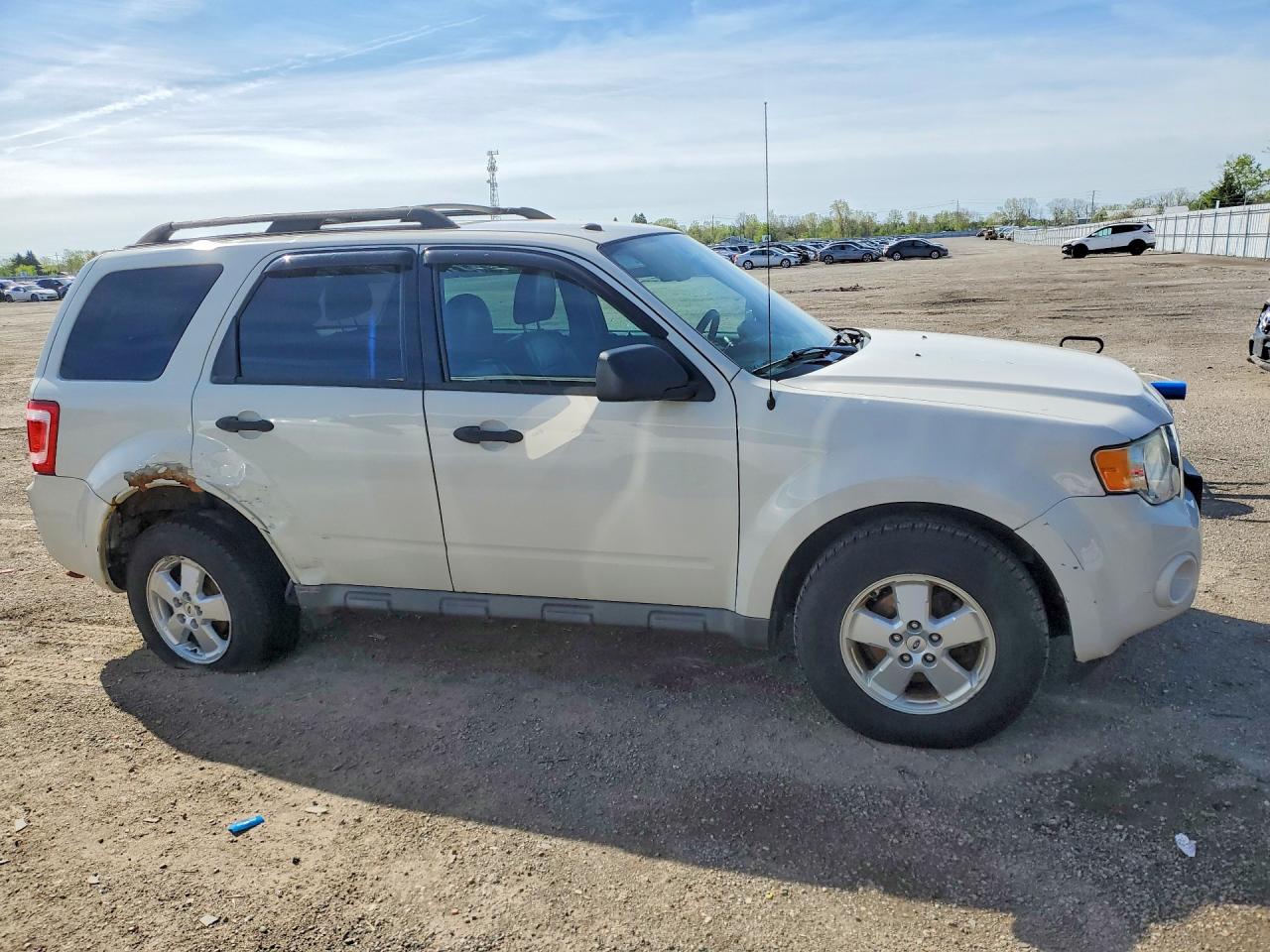 2011 Ford Escape Xlt White vin: 1FMCU9DG5BKB41842