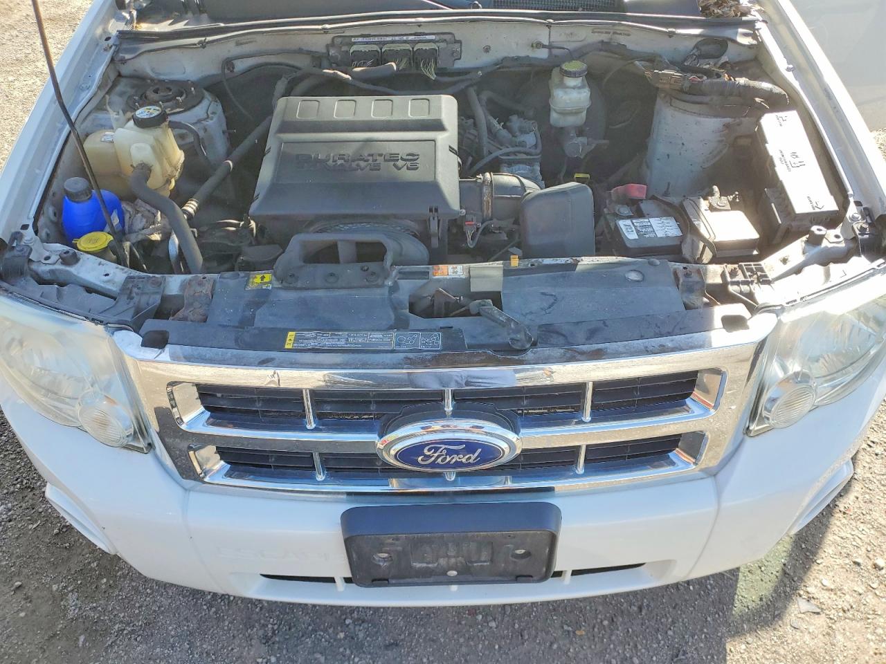 2011 Ford Escape Xlt White vin: 1FMCU9DG5BKB41842