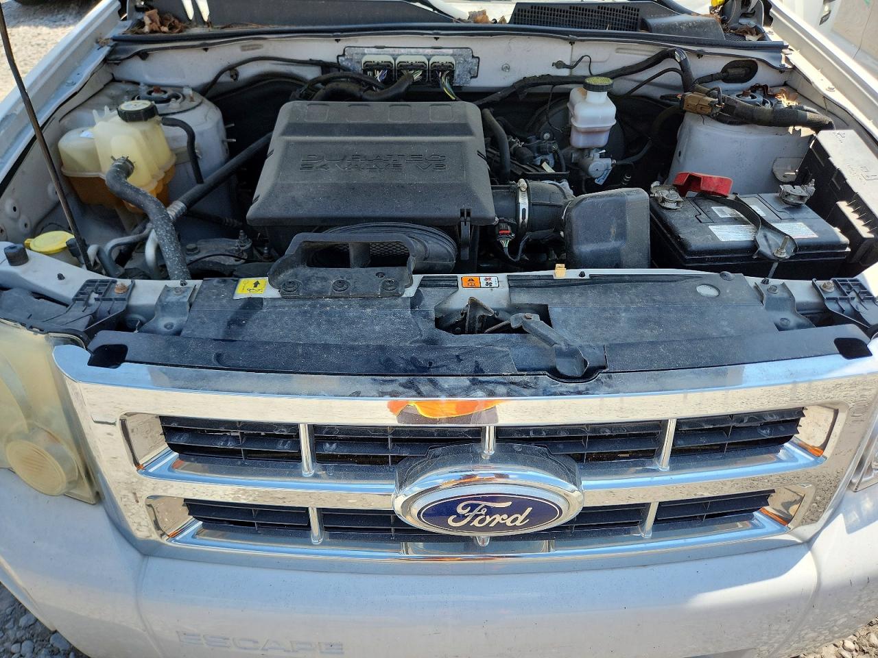 2010 Ford Escape White vin: 1FMCU9DG6AKC27904
