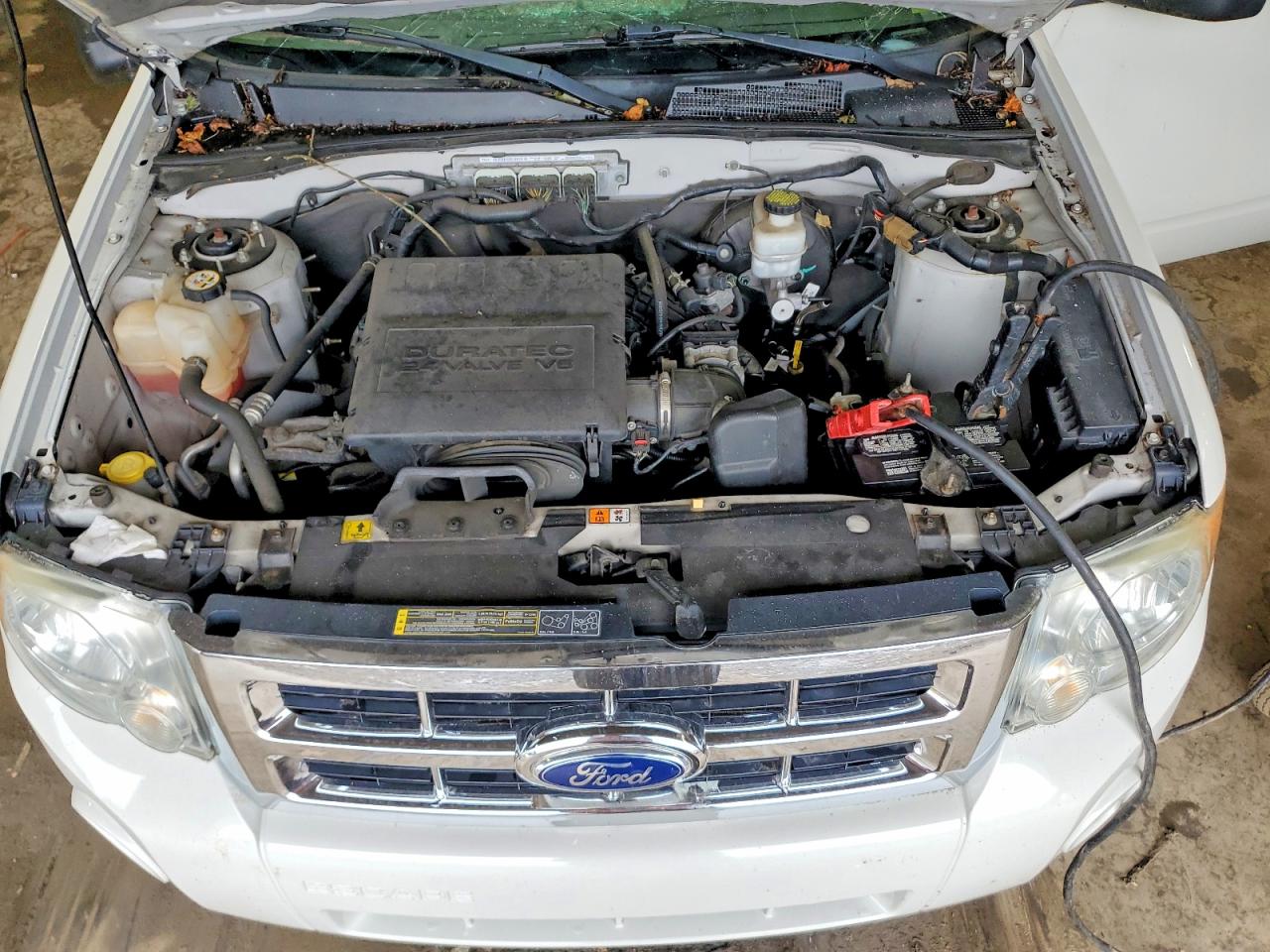 2011 Ford Escape Xlt White vin: 1FMCU9DG7BKB44645