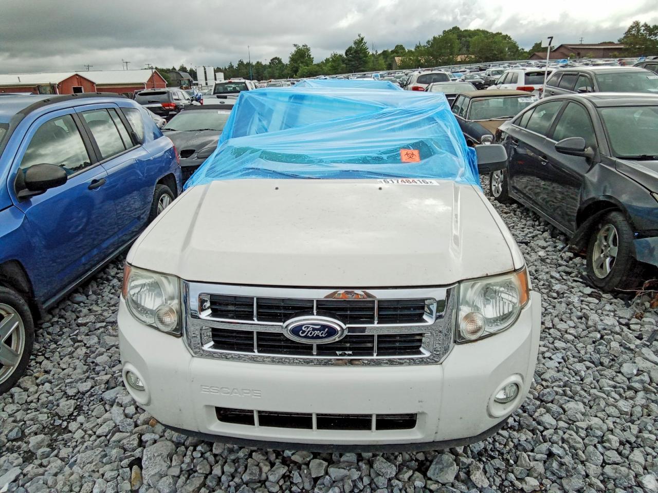 2011 Ford Escape Xlt White vin: 1FMCU9DG7BKB44645