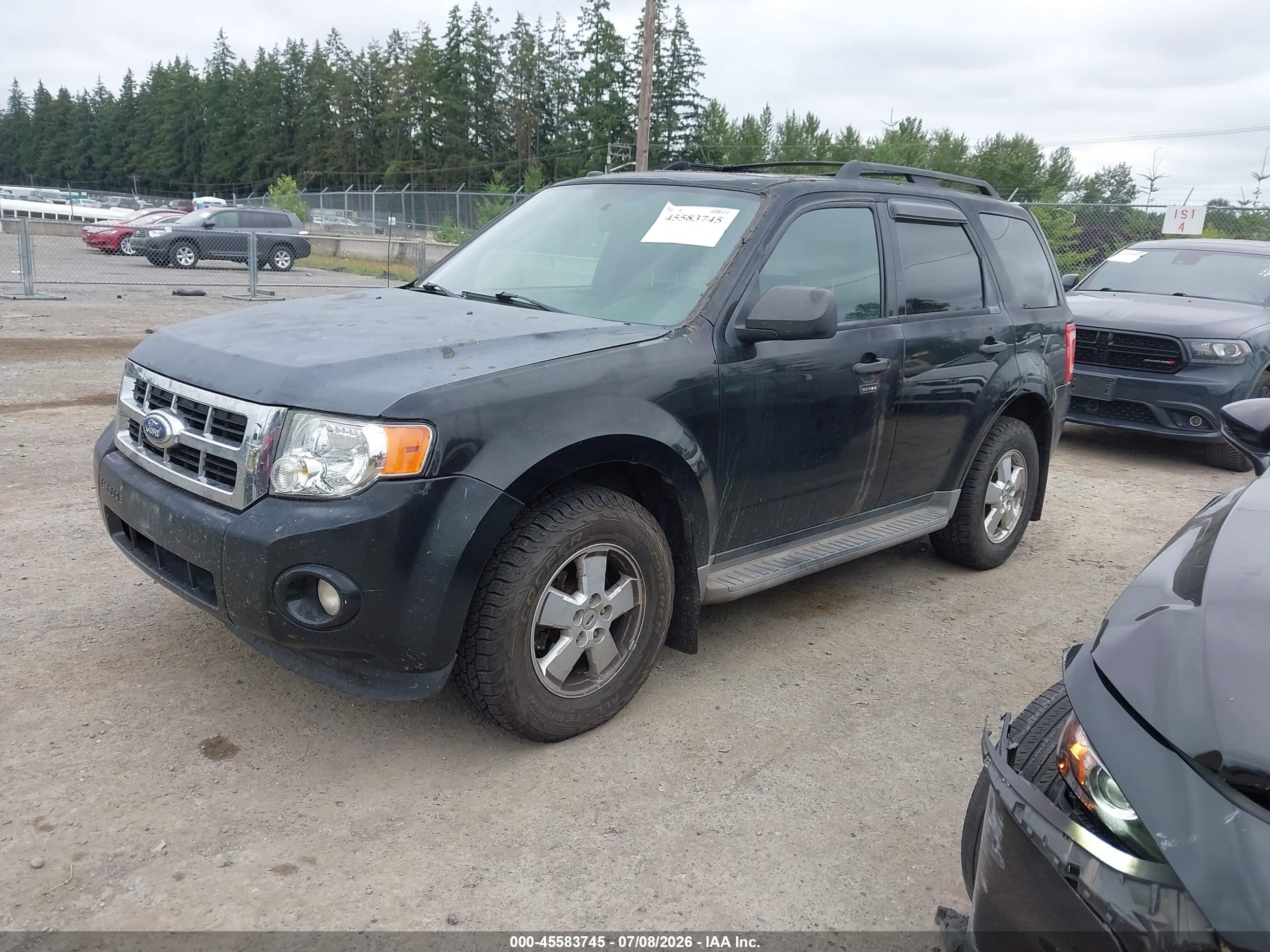 2011 Ford Escape Xlt Black vin: 1FMCU9DG8BKA50595