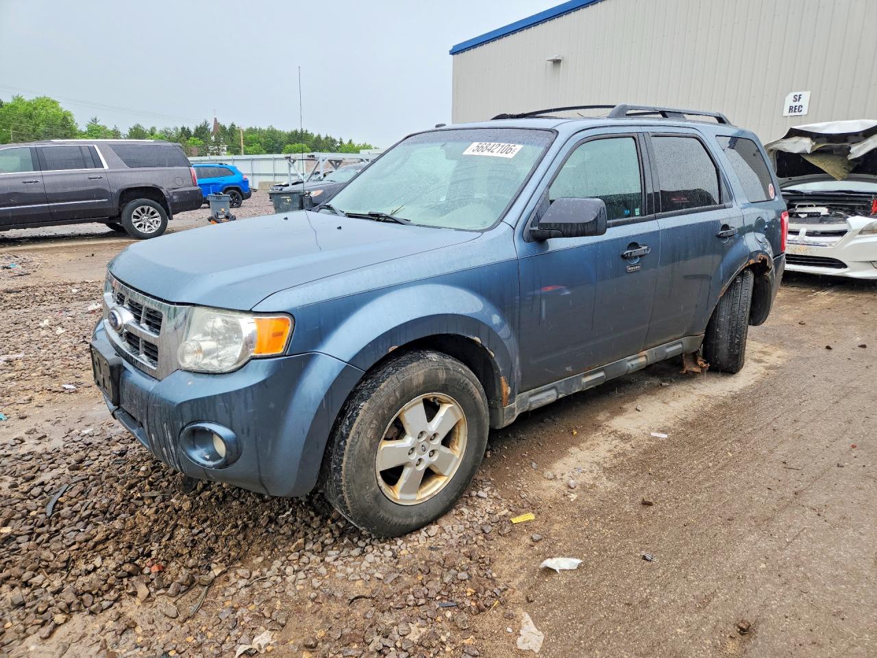 2011 Ford Escape Xlt Blue vin: 1FMCU9DG9BKB12716