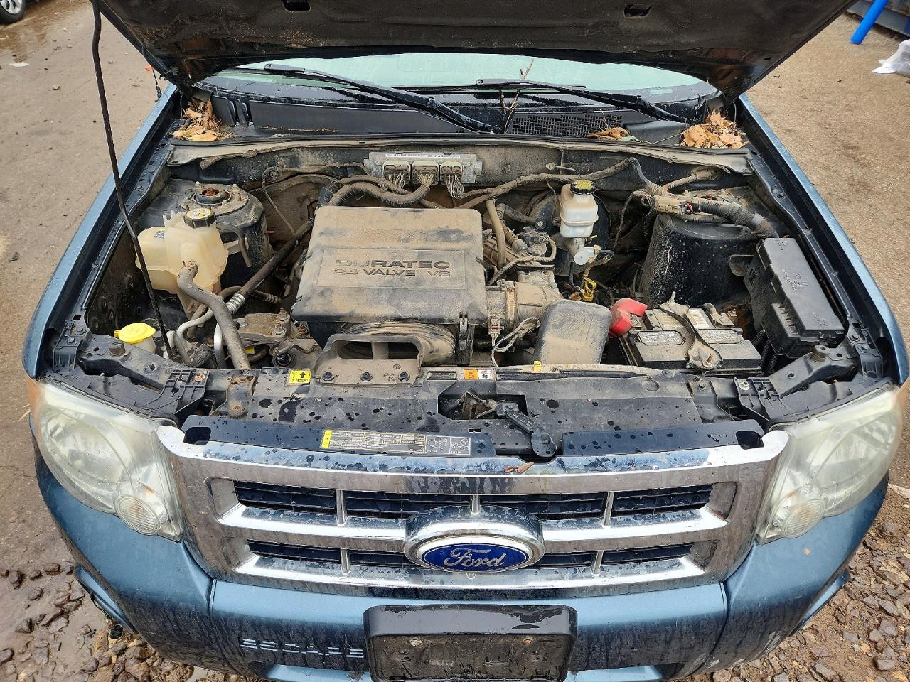 2011 Ford Escape Xlt Blue vin: 1FMCU9DG9BKB12716