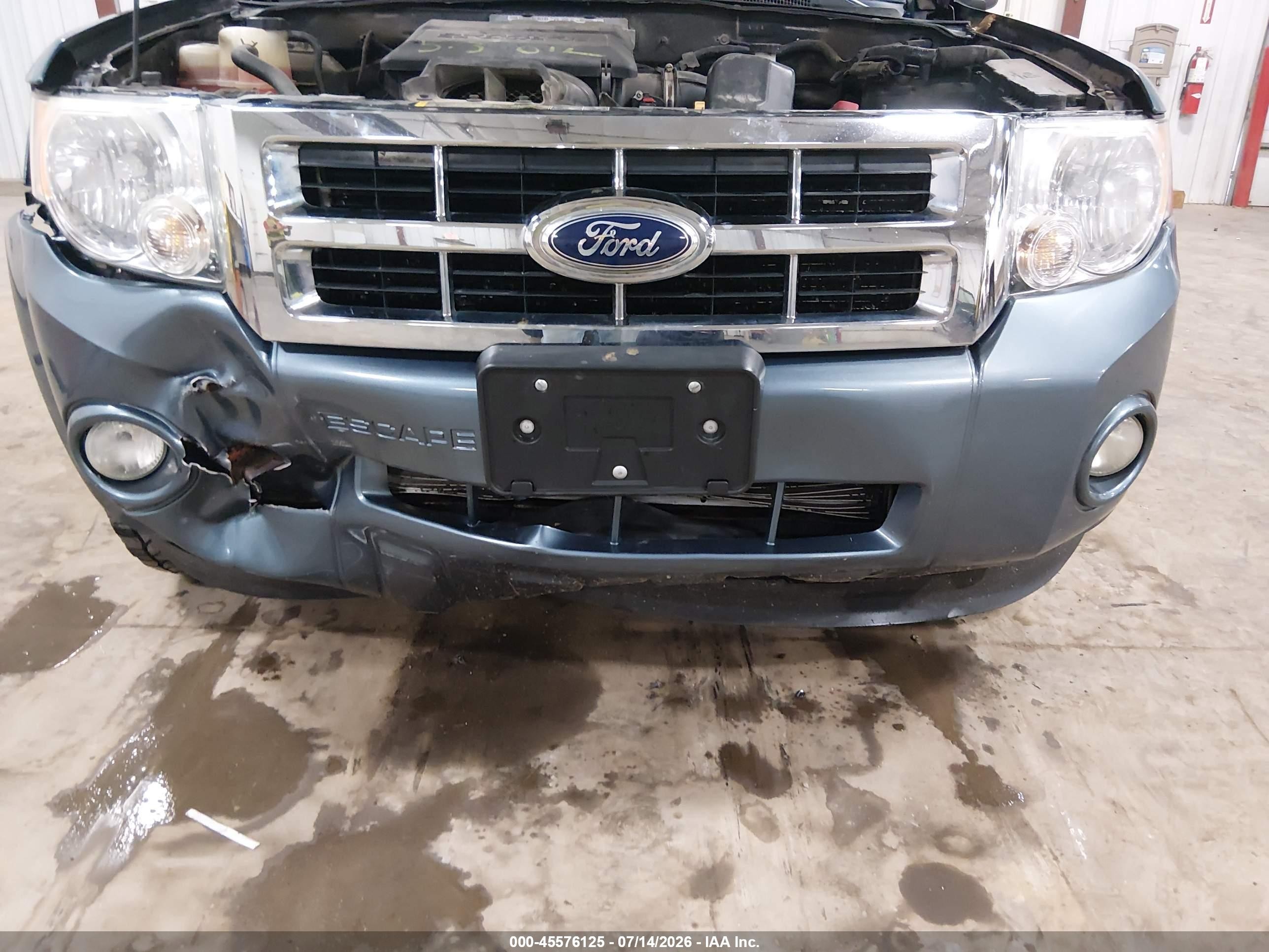 2012 Ford Escape Xlt Blue vin: 1FMCU9DG9CKC49656