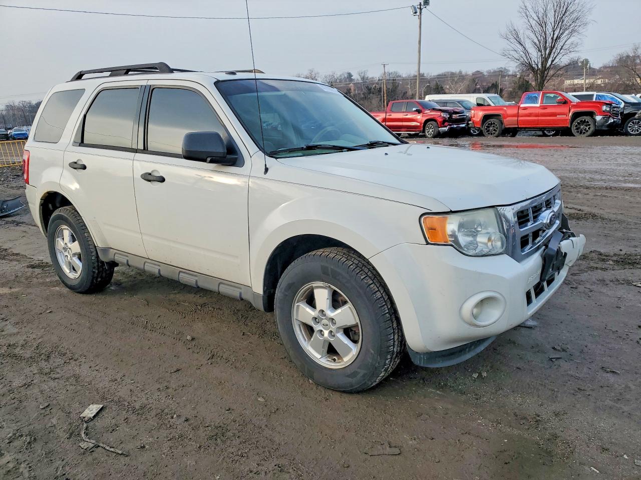 2011 Ford Escape Xlt White vin: 1FMCU9DGXBKA13886