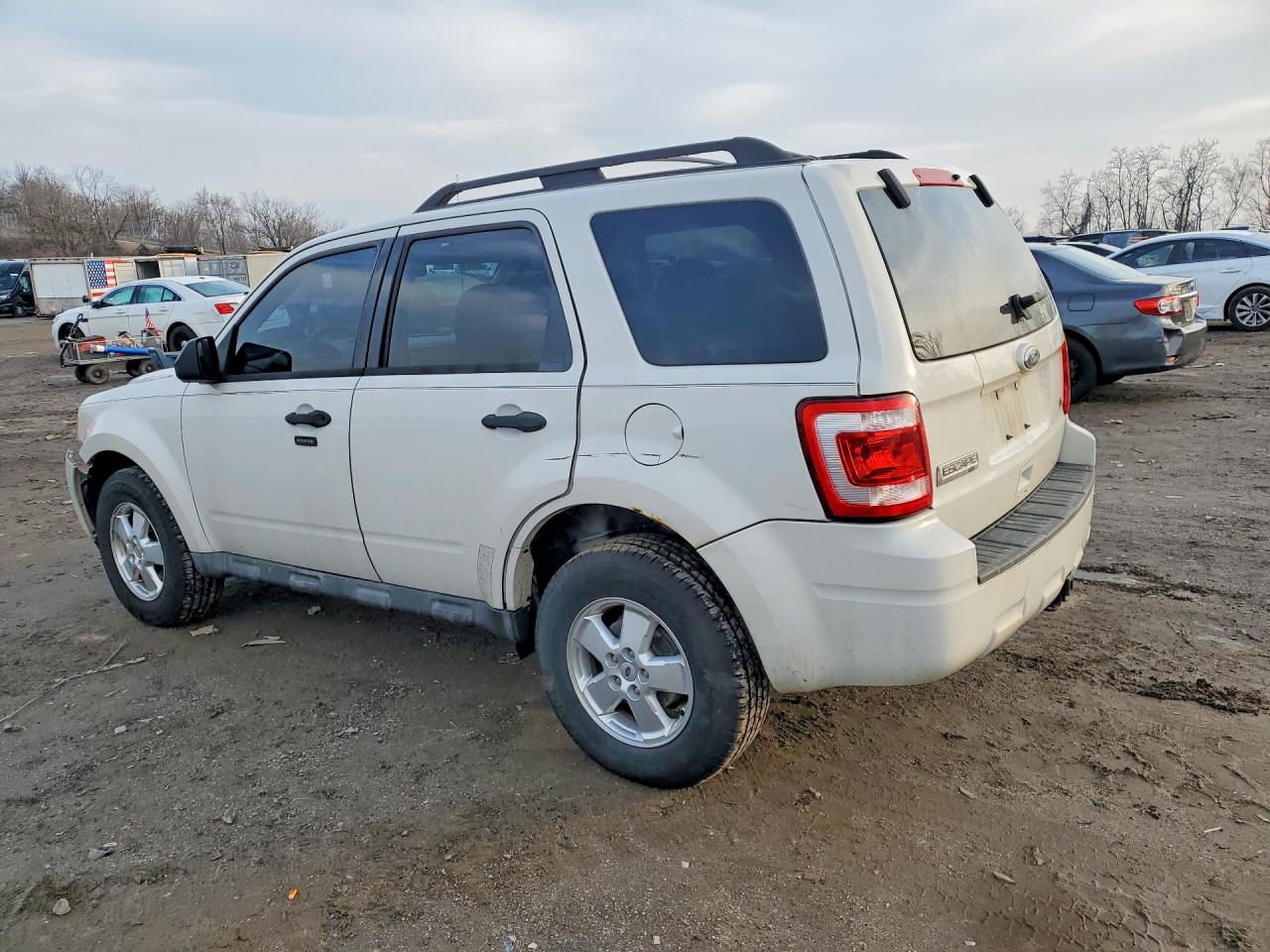 2011 Ford Escape Xlt White vin: 1FMCU9DGXBKA13886