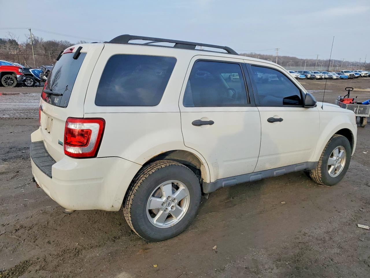 2011 Ford Escape Xlt White vin: 1FMCU9DGXBKA13886