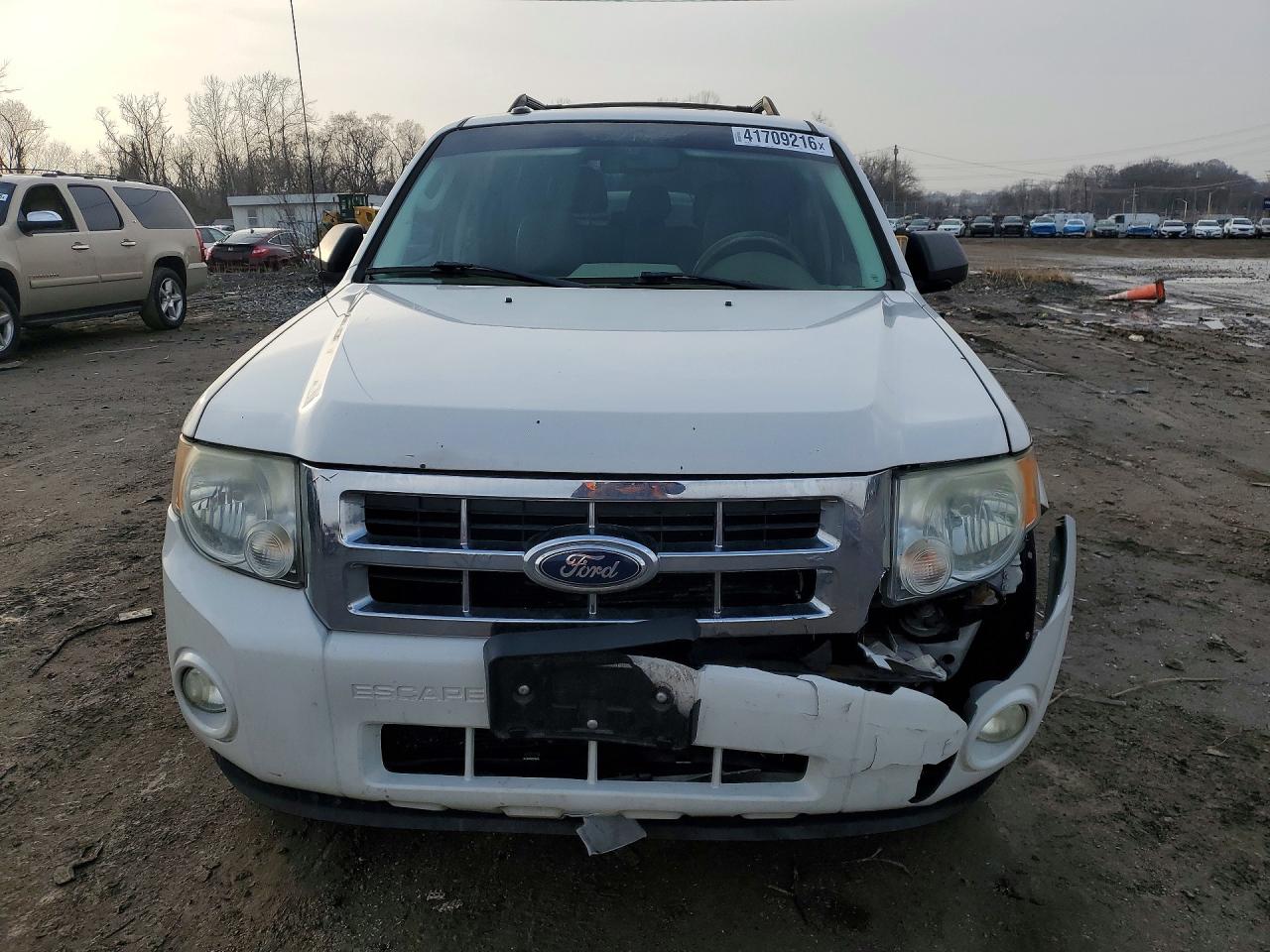 2011 Ford Escape Xlt White vin: 1FMCU9DGXBKA13886