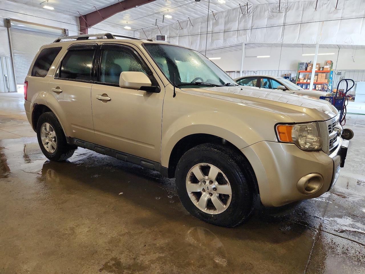 2010 Ford Escape Золотой vin: 1FMCU9E74AKD21018