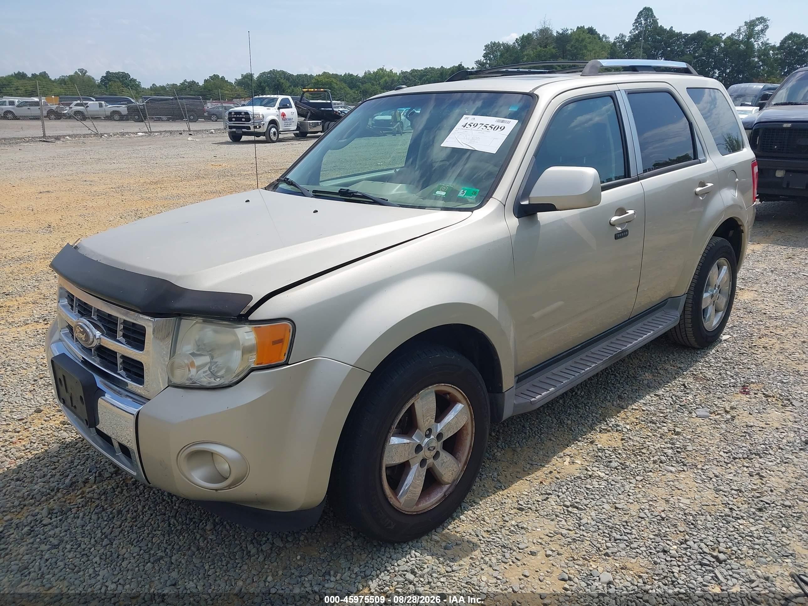 2010 Ford Escape Limited Beige vin: 1FMCU9EG0AKC47371