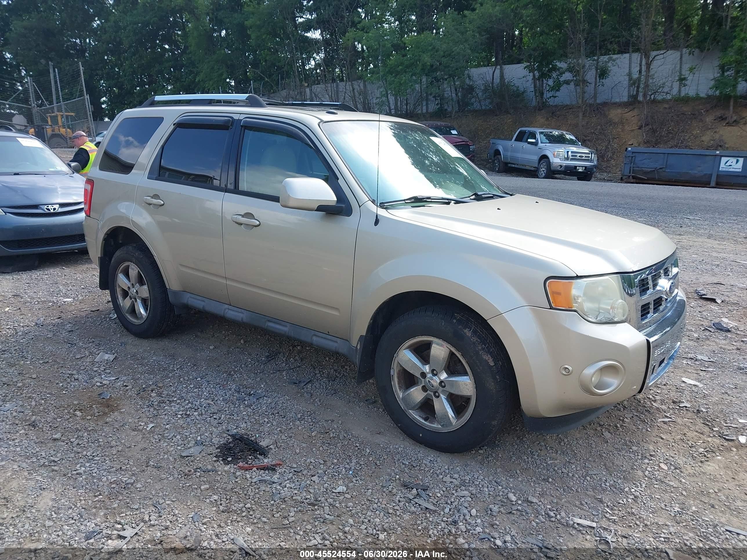 2010 Ford Escape Limited Gold vin: 1FMCU9EG2AKC71607