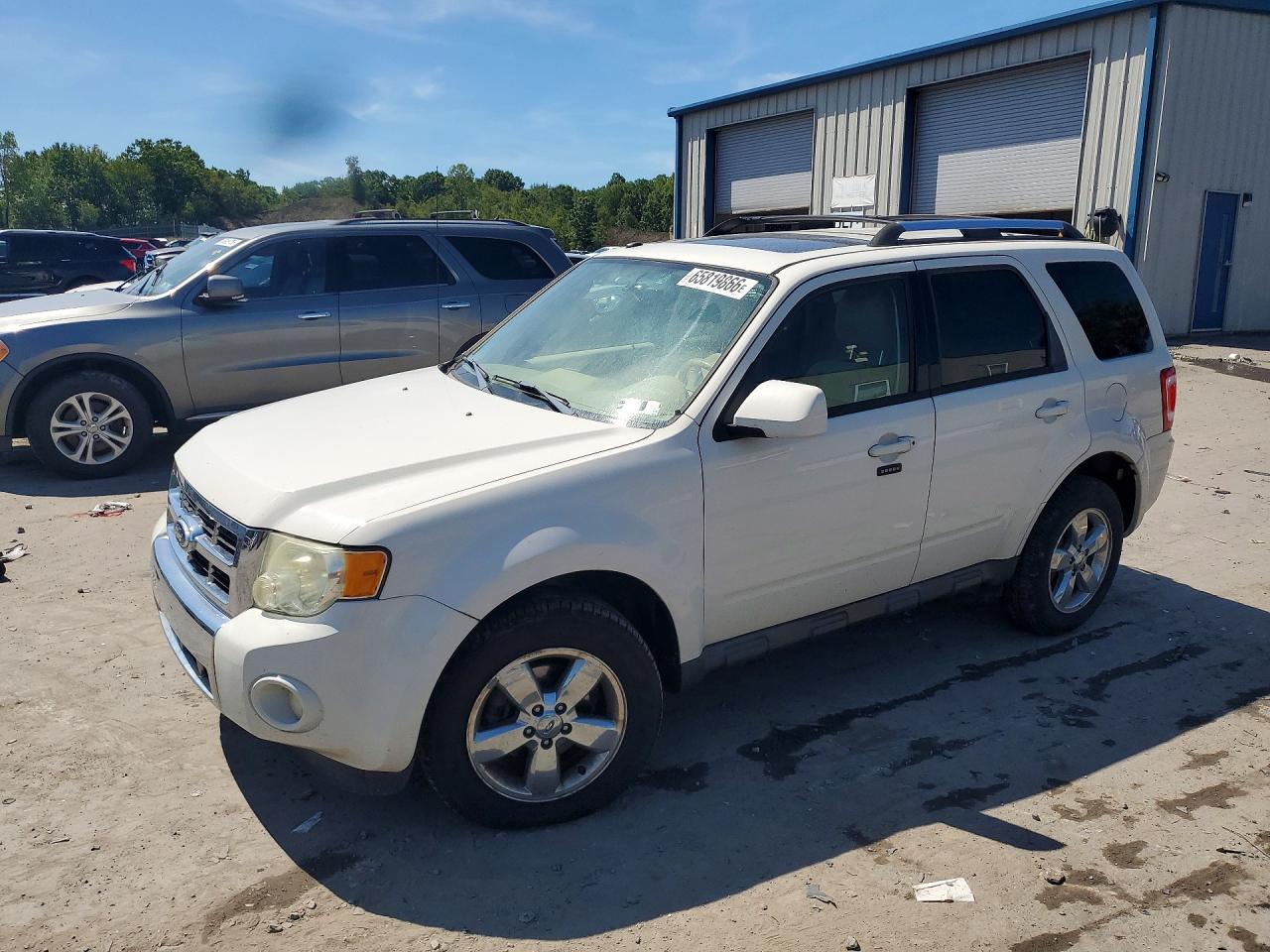 2011 Ford Escape Limited White vin: 1FMCU9EG3BKB88334