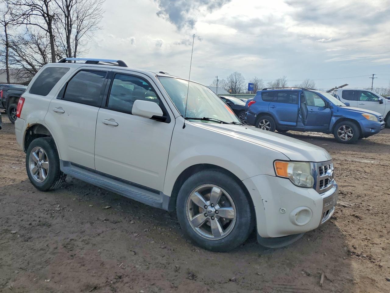 2011 Ford Escape Limited White vin: 1FMCU9EG5BKB69932