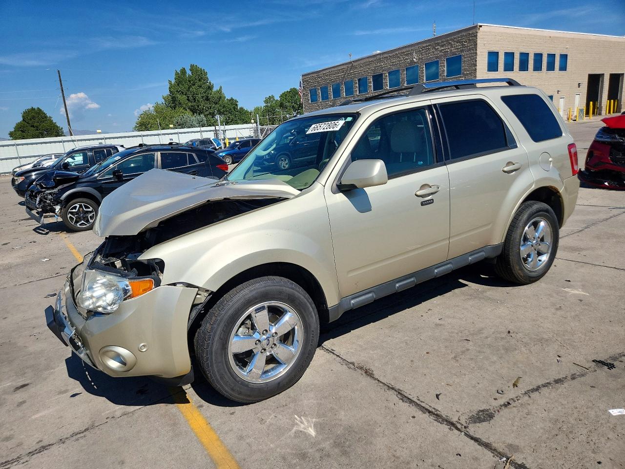 2010 Ford Escape Limited Beige vin: 1FMCU9EG6AKA71183